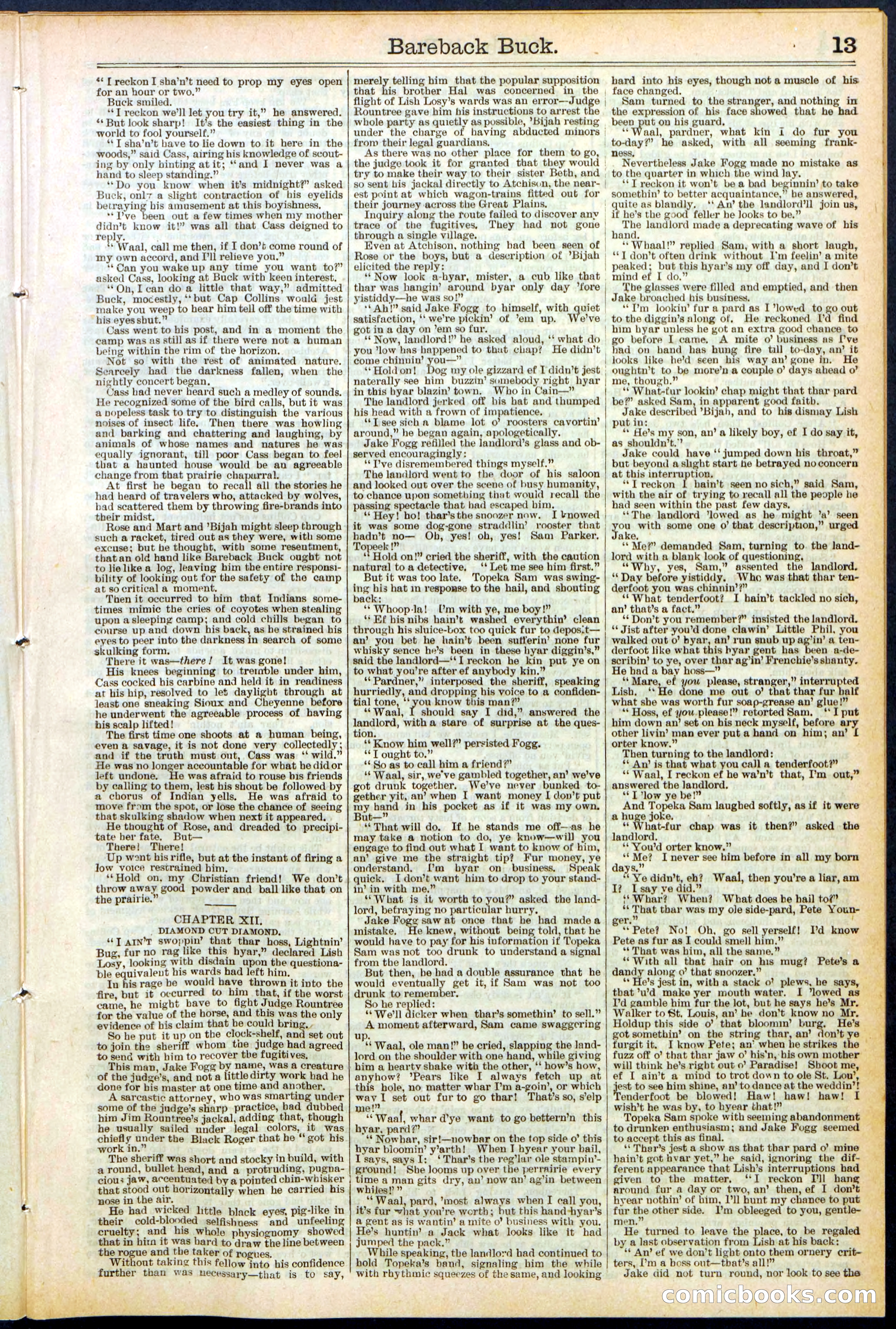 Beadle's Dime Library, No. 502 — page 13 of 32