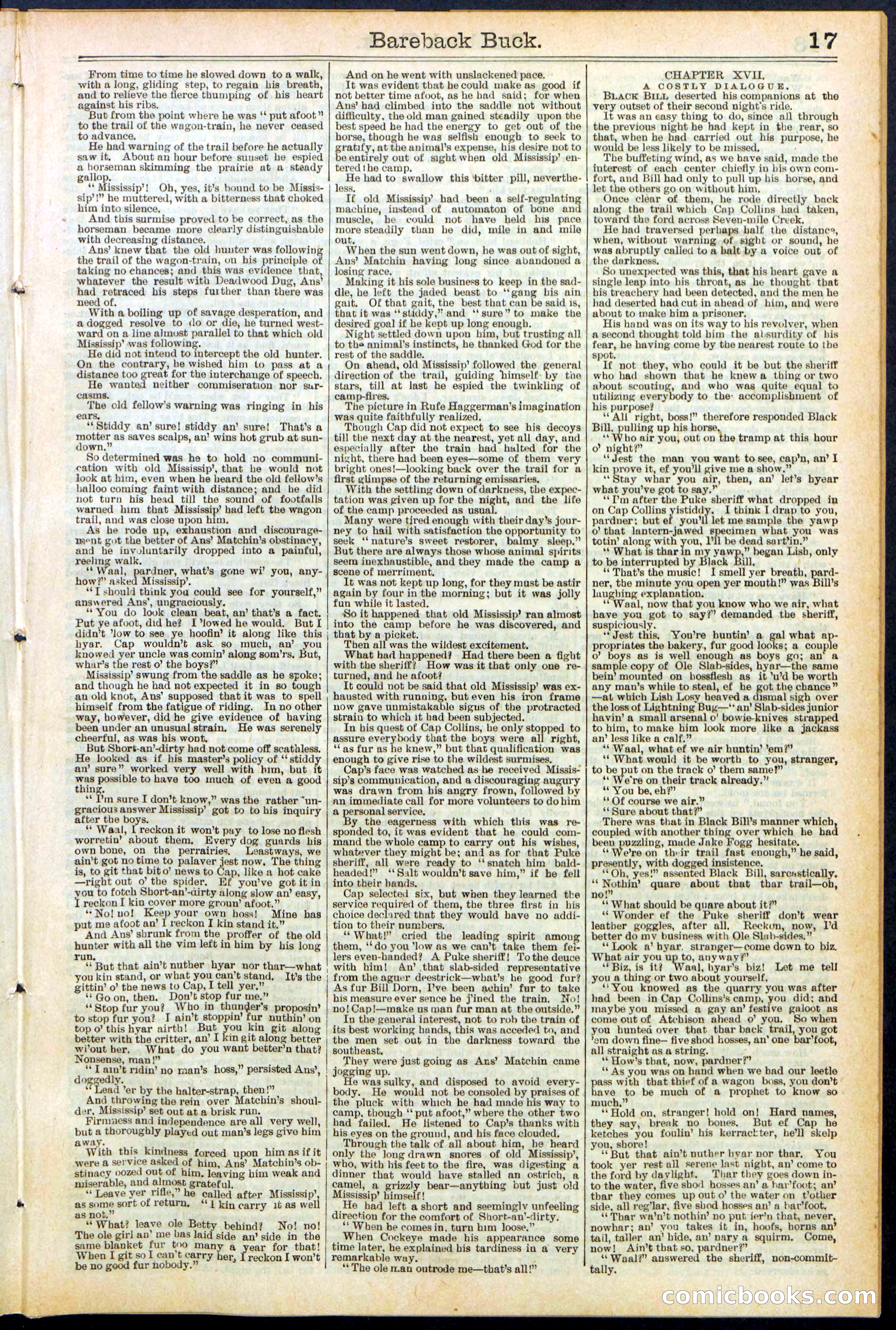 Beadle's Dime Library, No. 502 — page 17 of 32