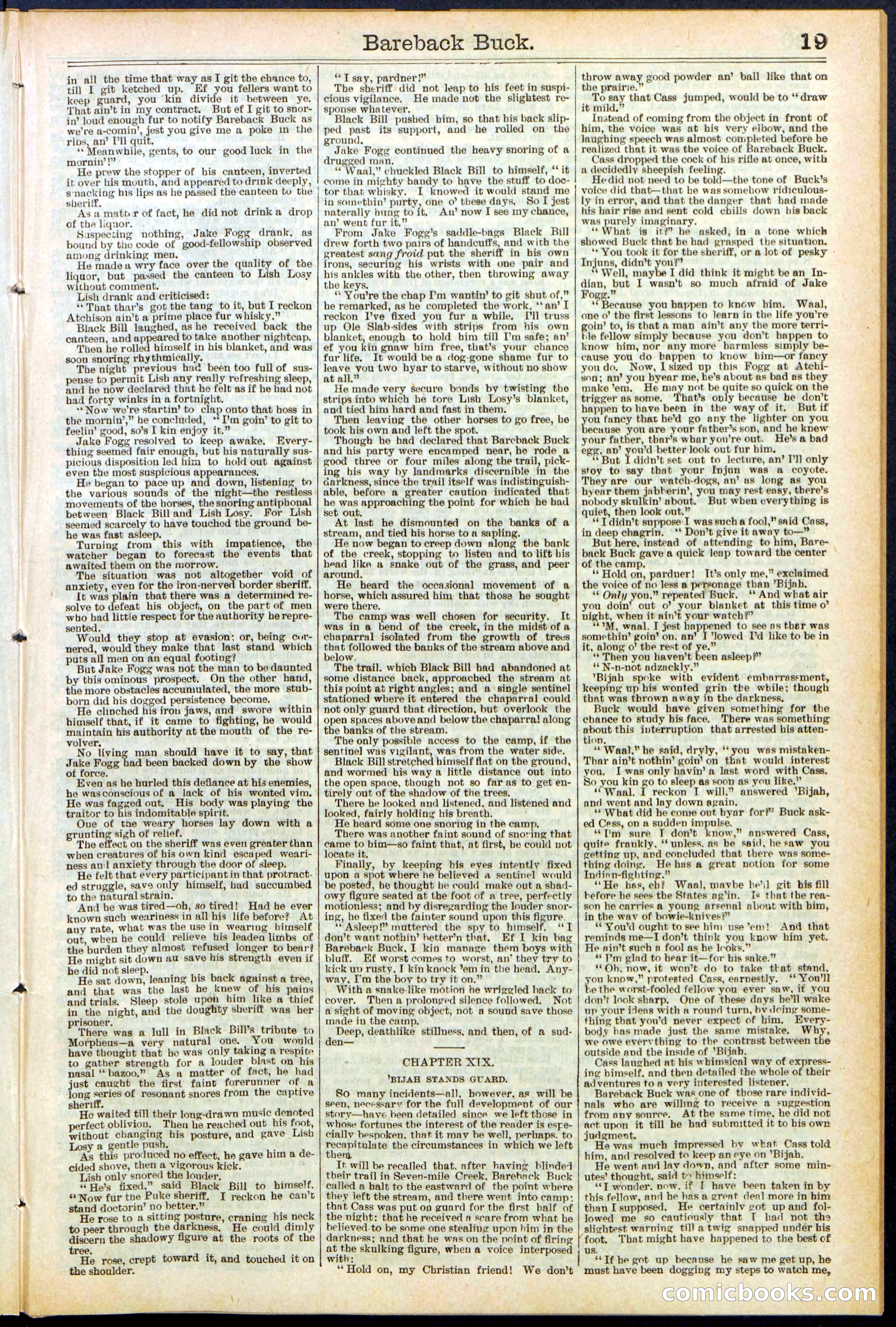 Beadle's Dime Library, No. 502 — page 19 of 32