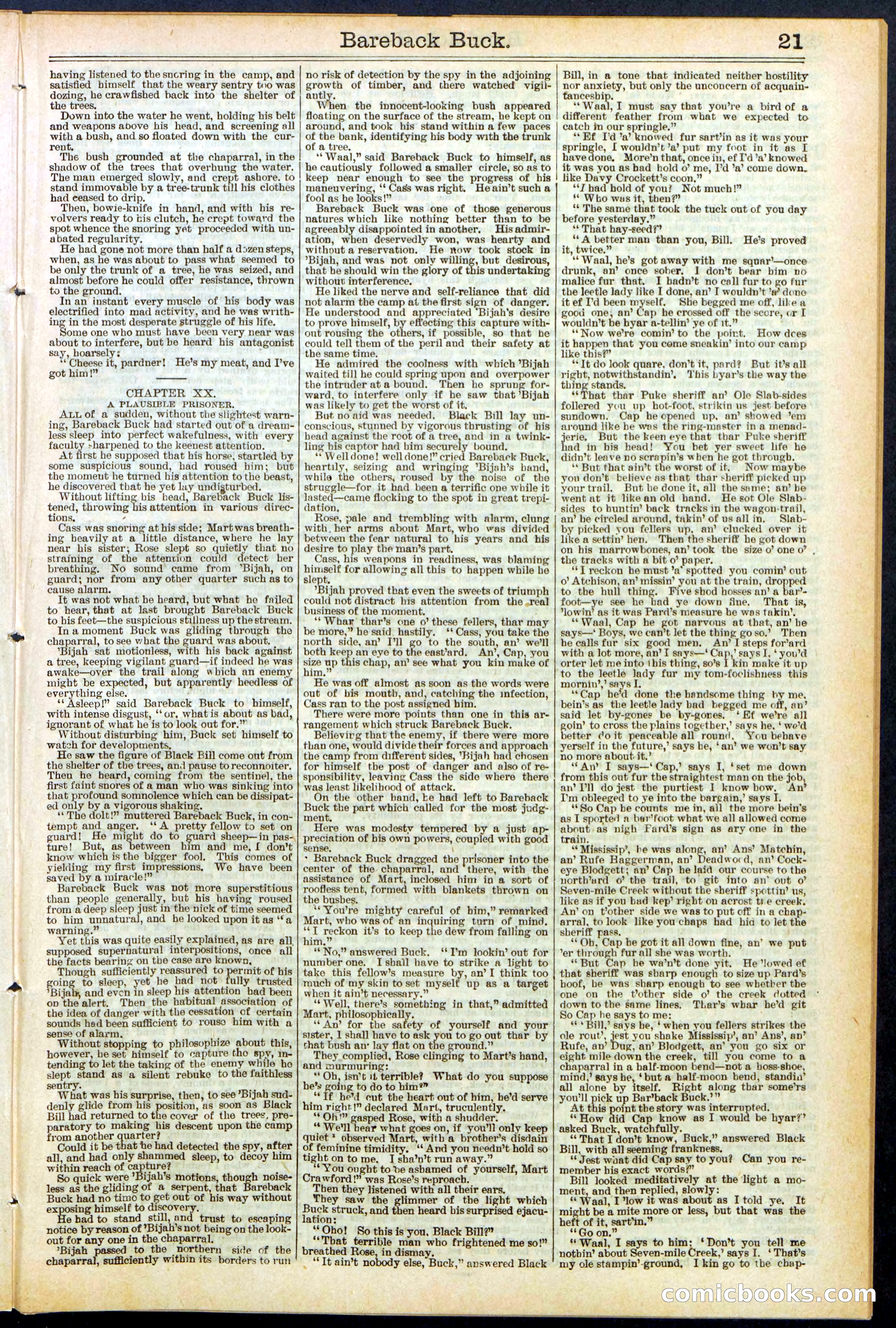 Beadle's Dime Library, No. 502 — page 21 of 32