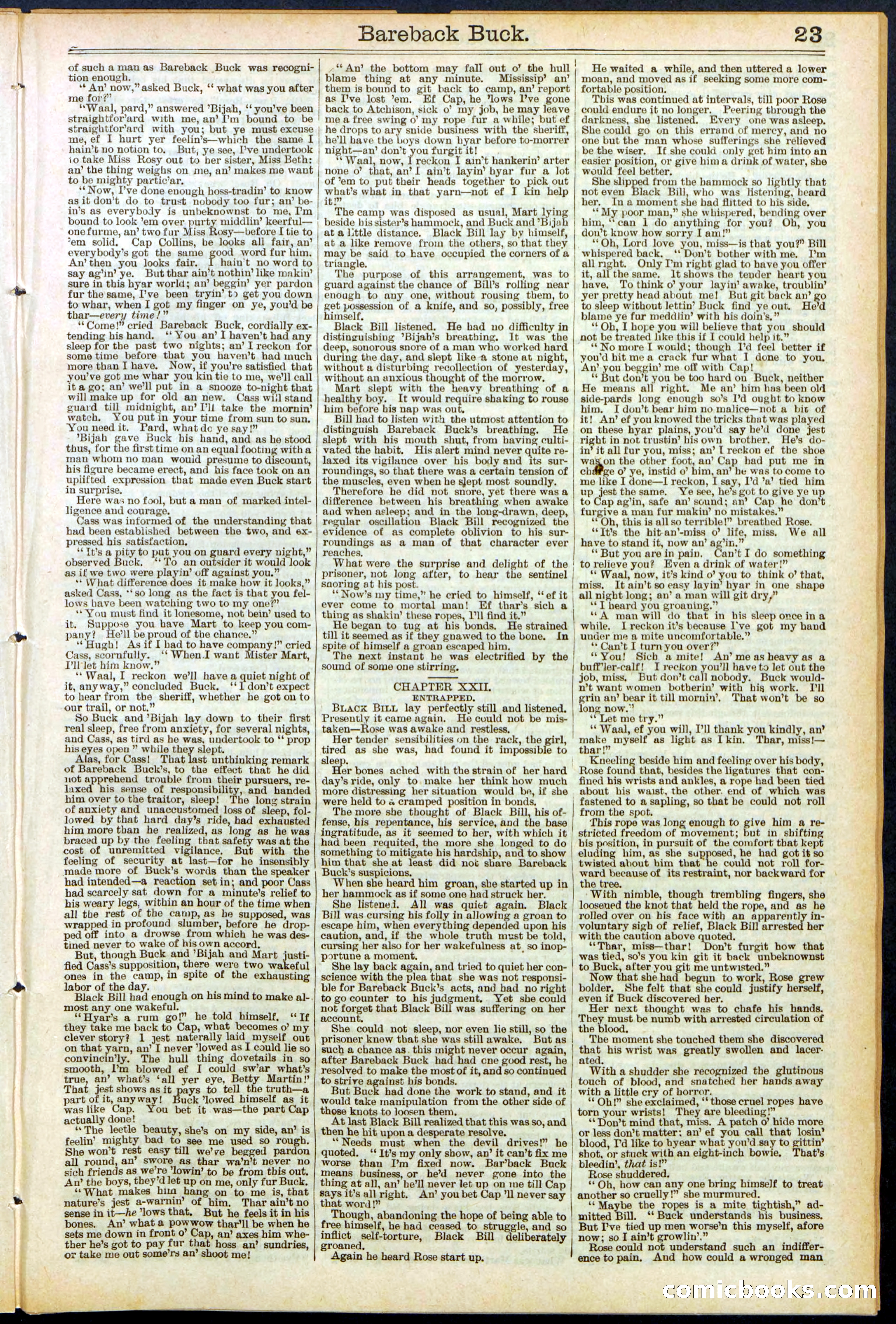 Beadle's Dime Library, No. 502 — page 23 of 32
