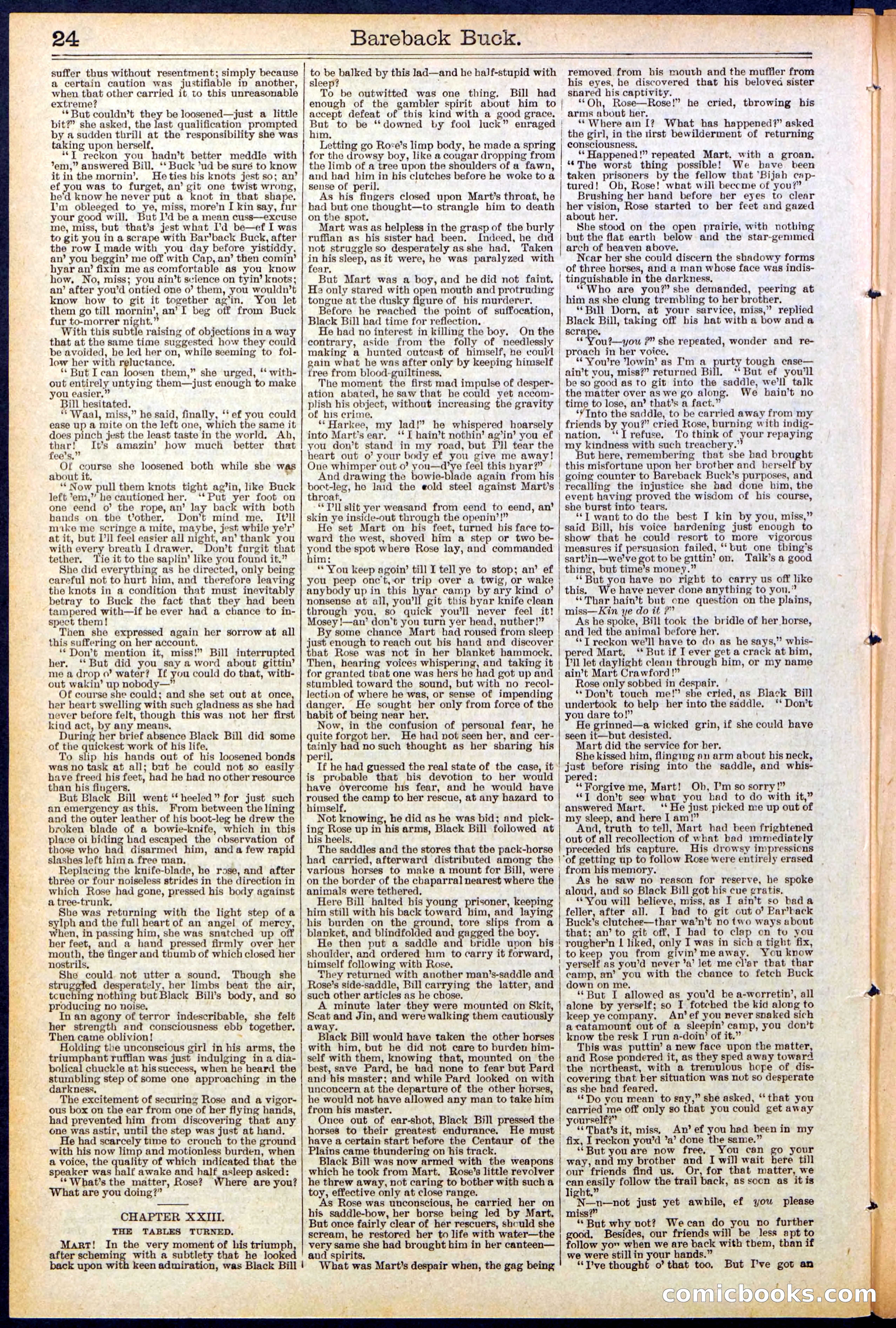 Beadle's Dime Library, No. 502 — page 24 of 32