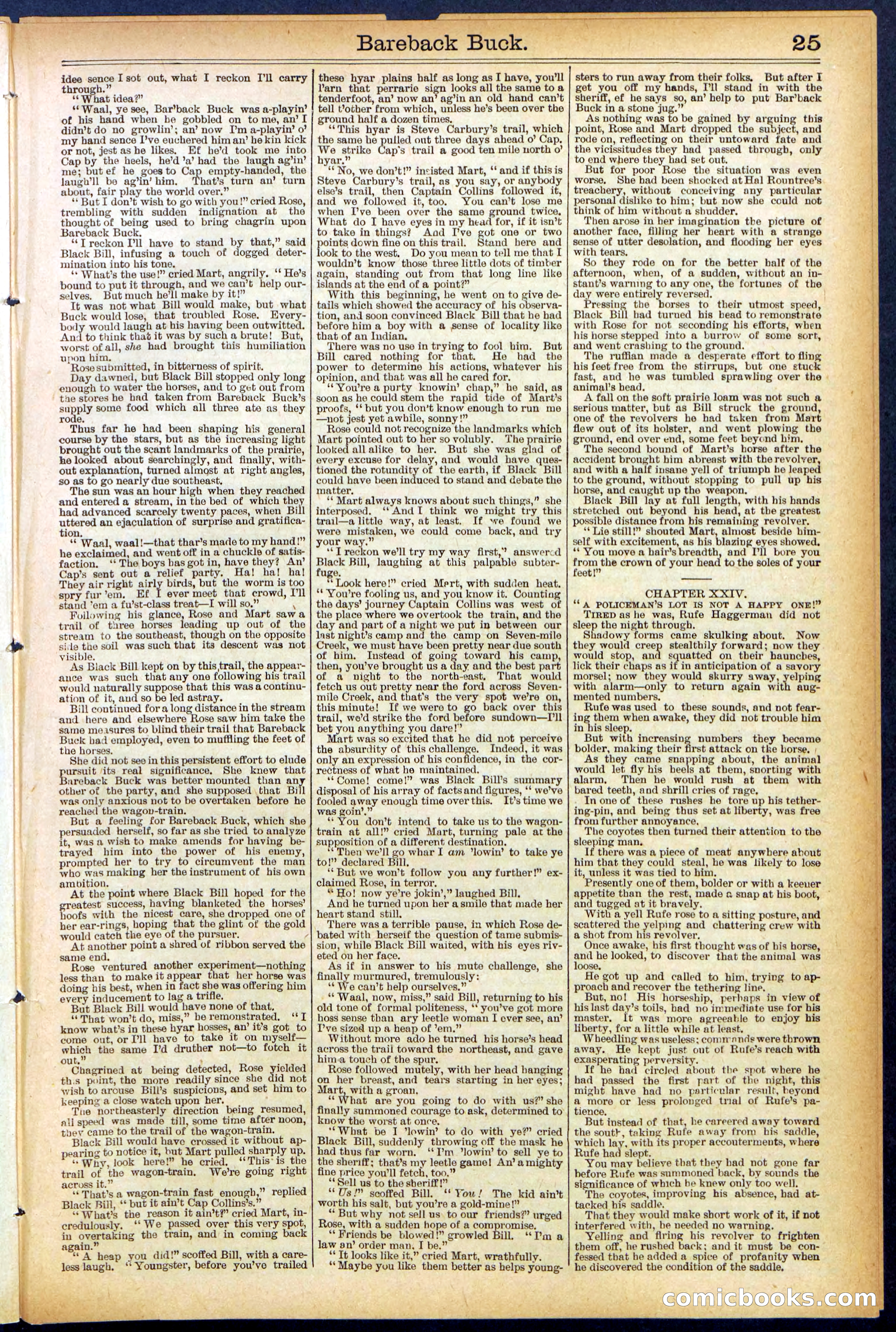 Beadle's Dime Library, No. 502 — page 25 of 32