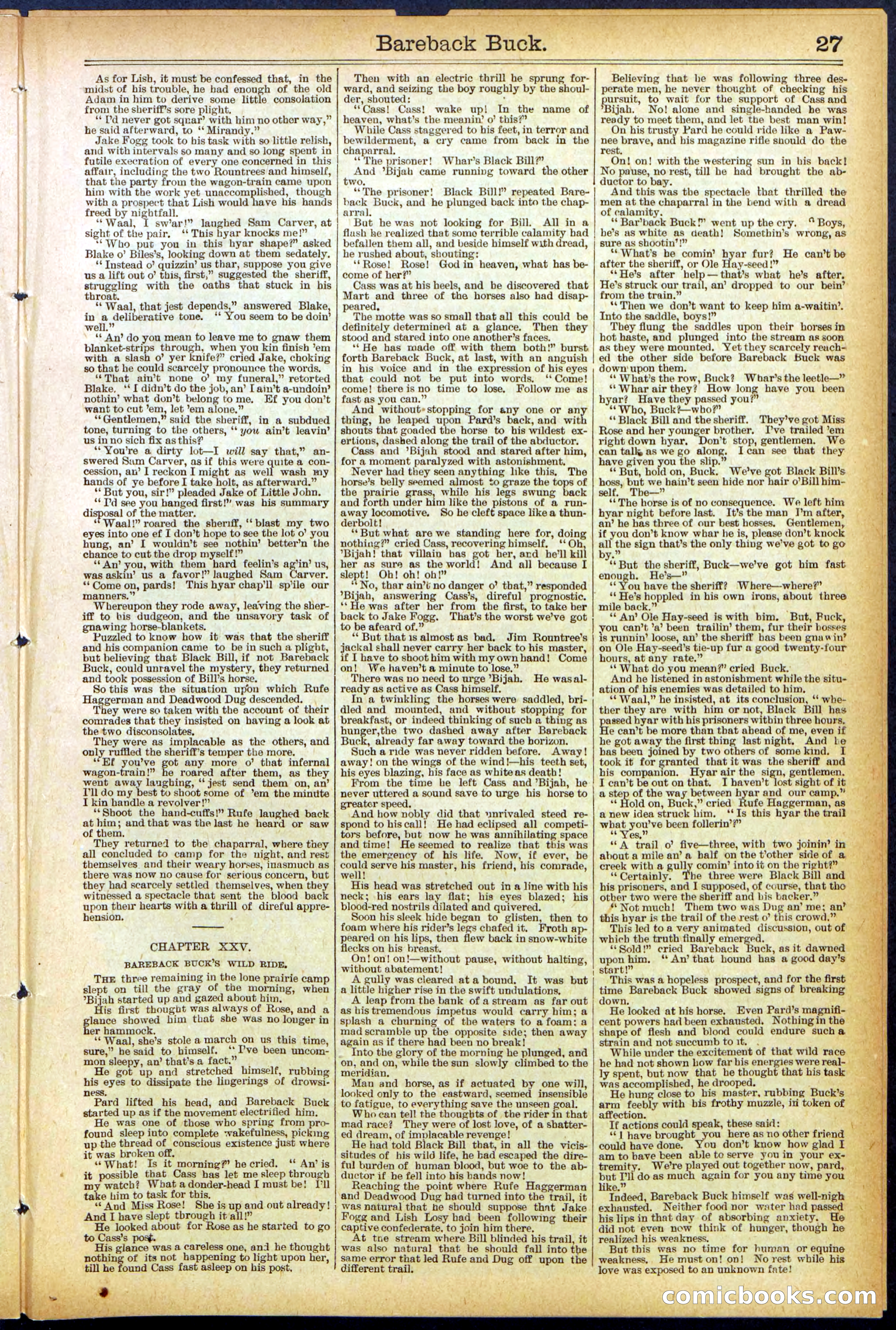 Beadle's Dime Library, No. 502 — page 27 of 32