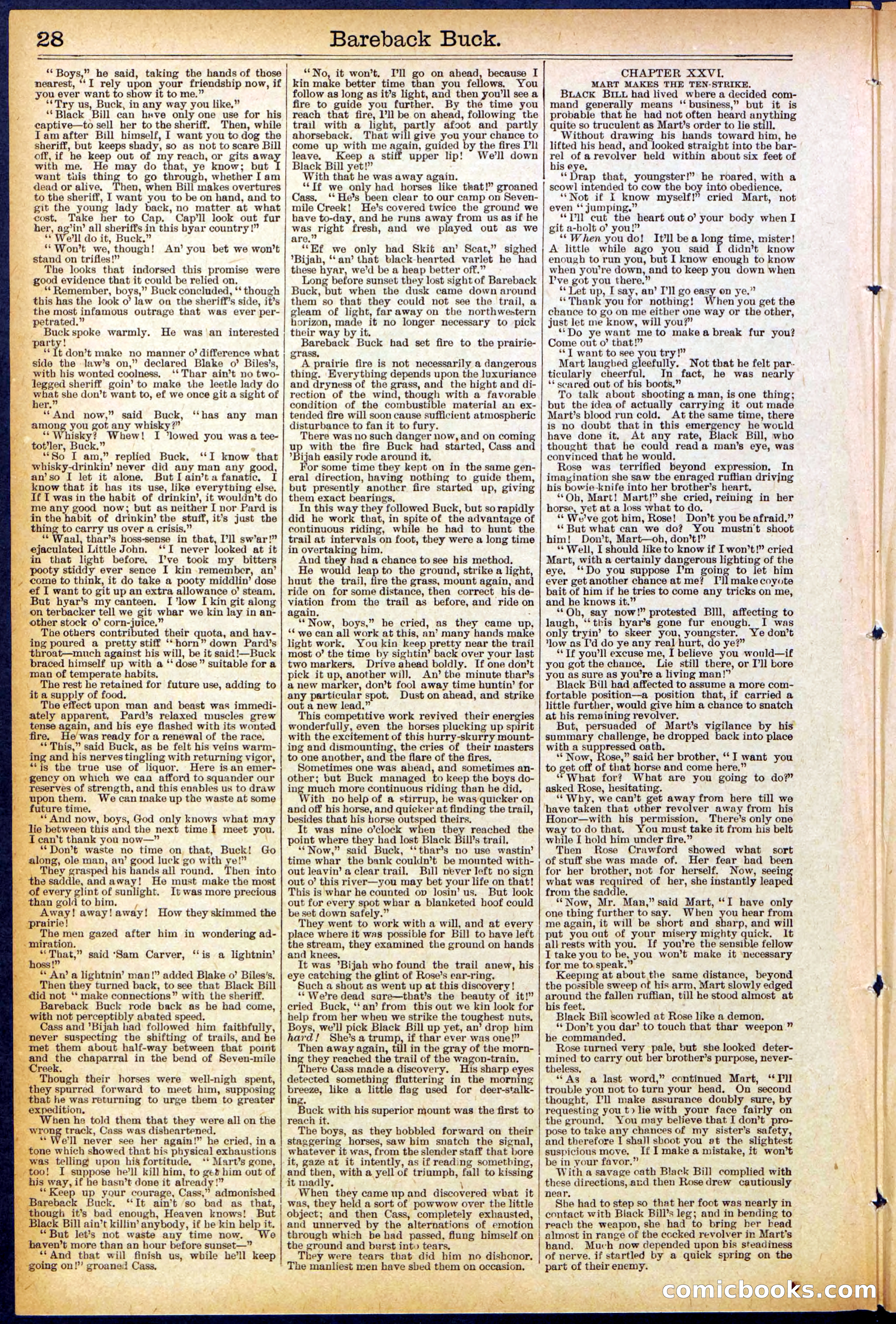 Beadle's Dime Library, No. 502 — page 28 of 32