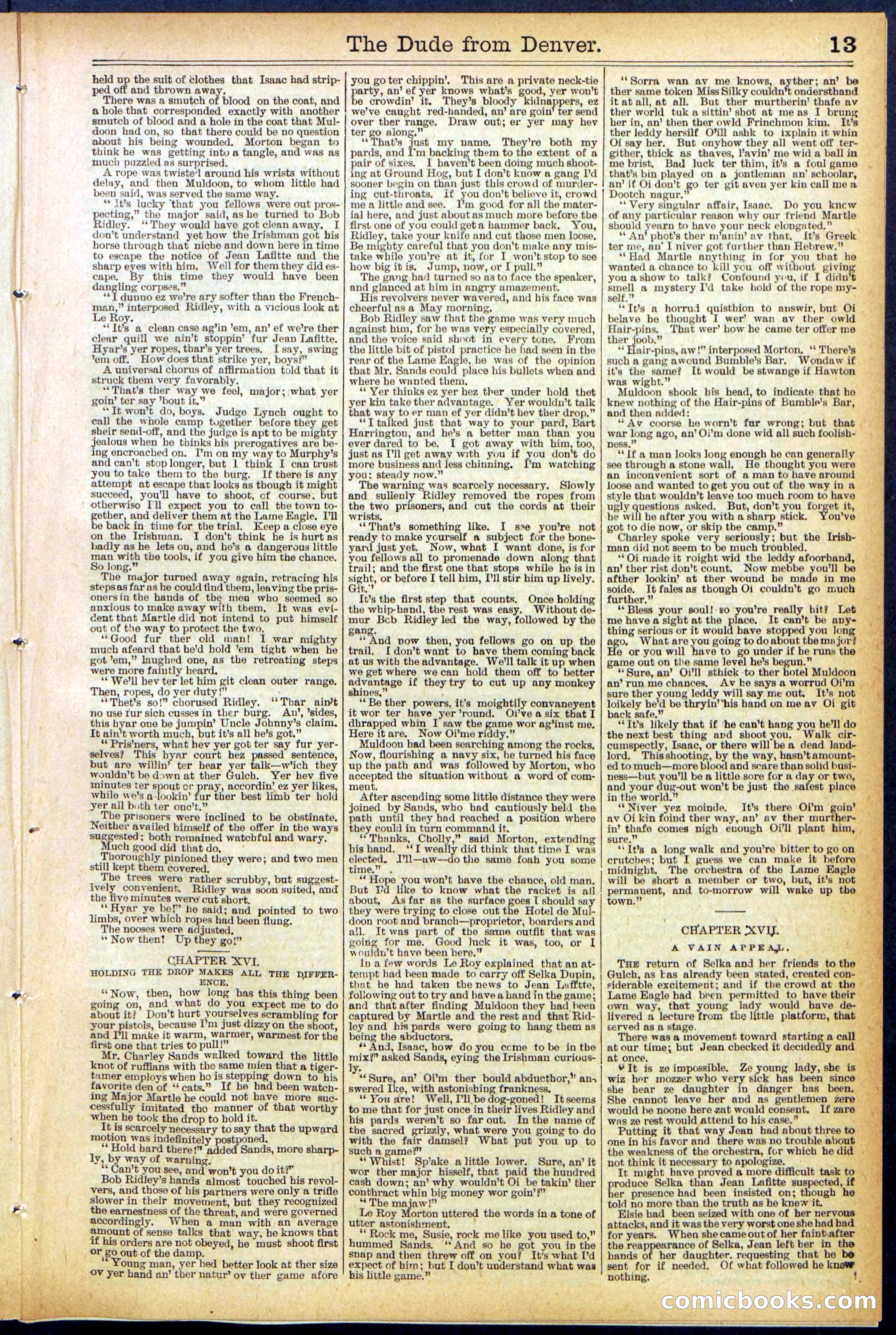 Beadle's New York Dime Library, No. 503 — page 13 of 32