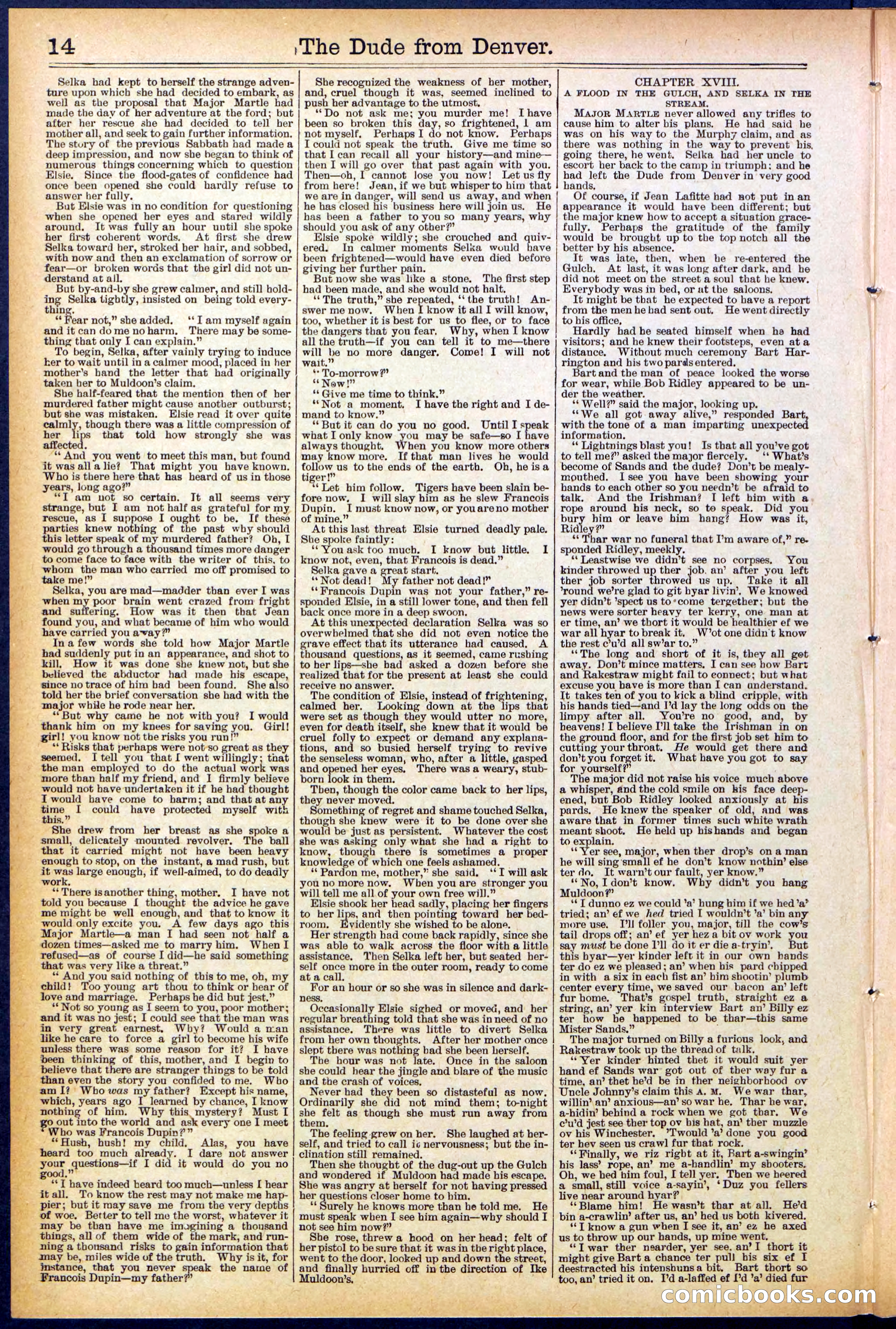 Beadle's New York Dime Library, No. 503 — page 14 of 32