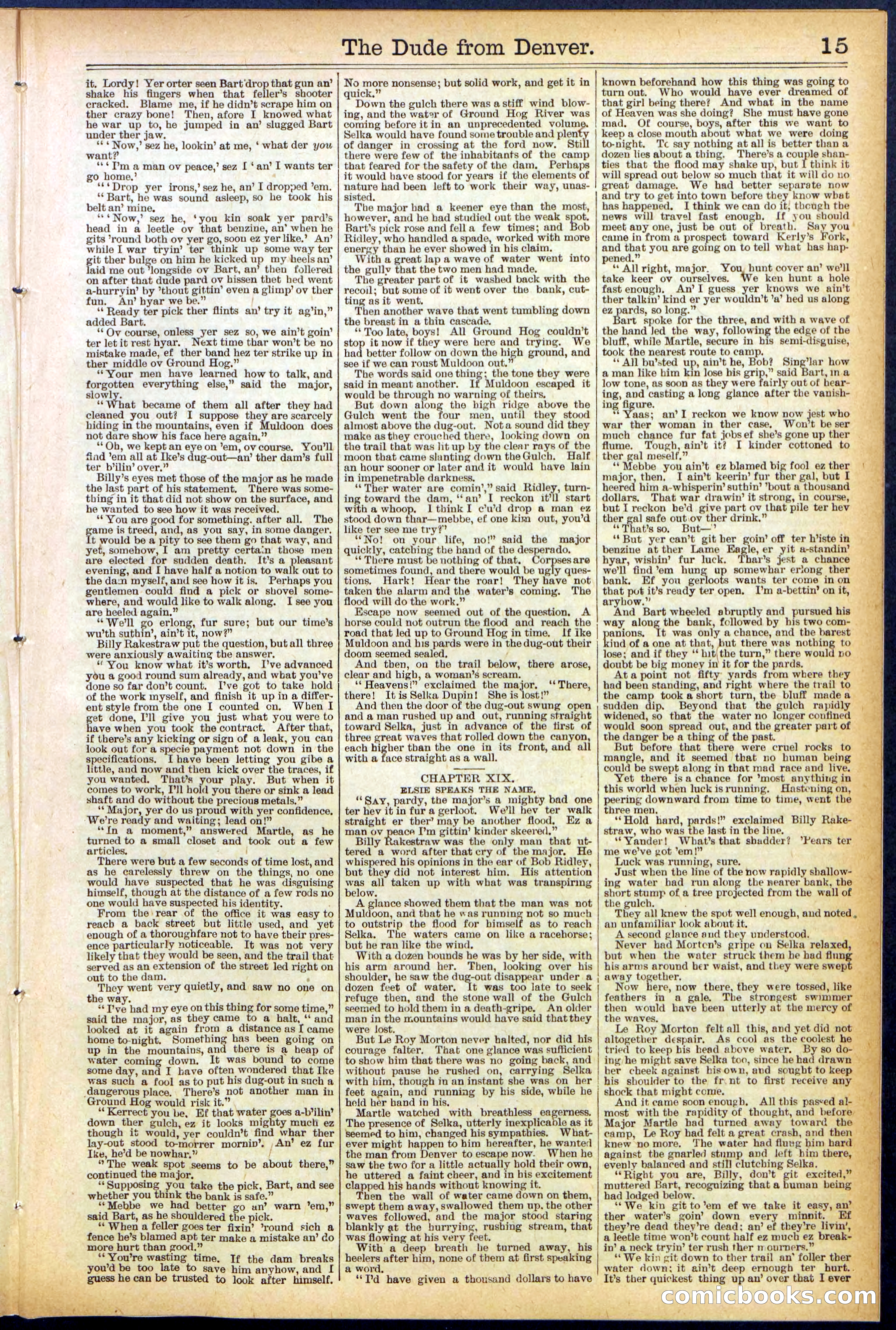 Beadle's New York Dime Library, No. 503 — page 15 of 32
