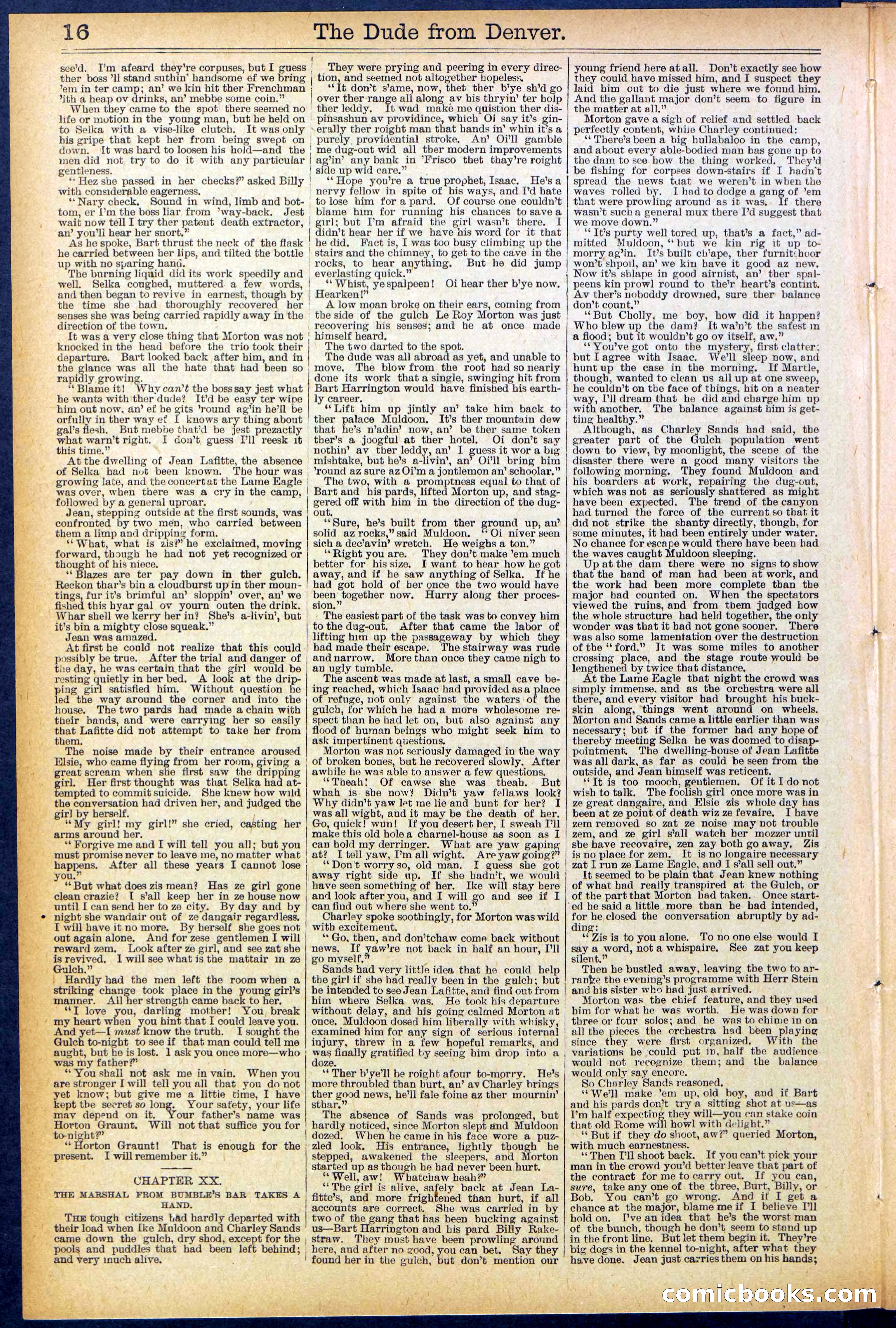 Beadle's New York Dime Library, No. 503 — page 16 of 32