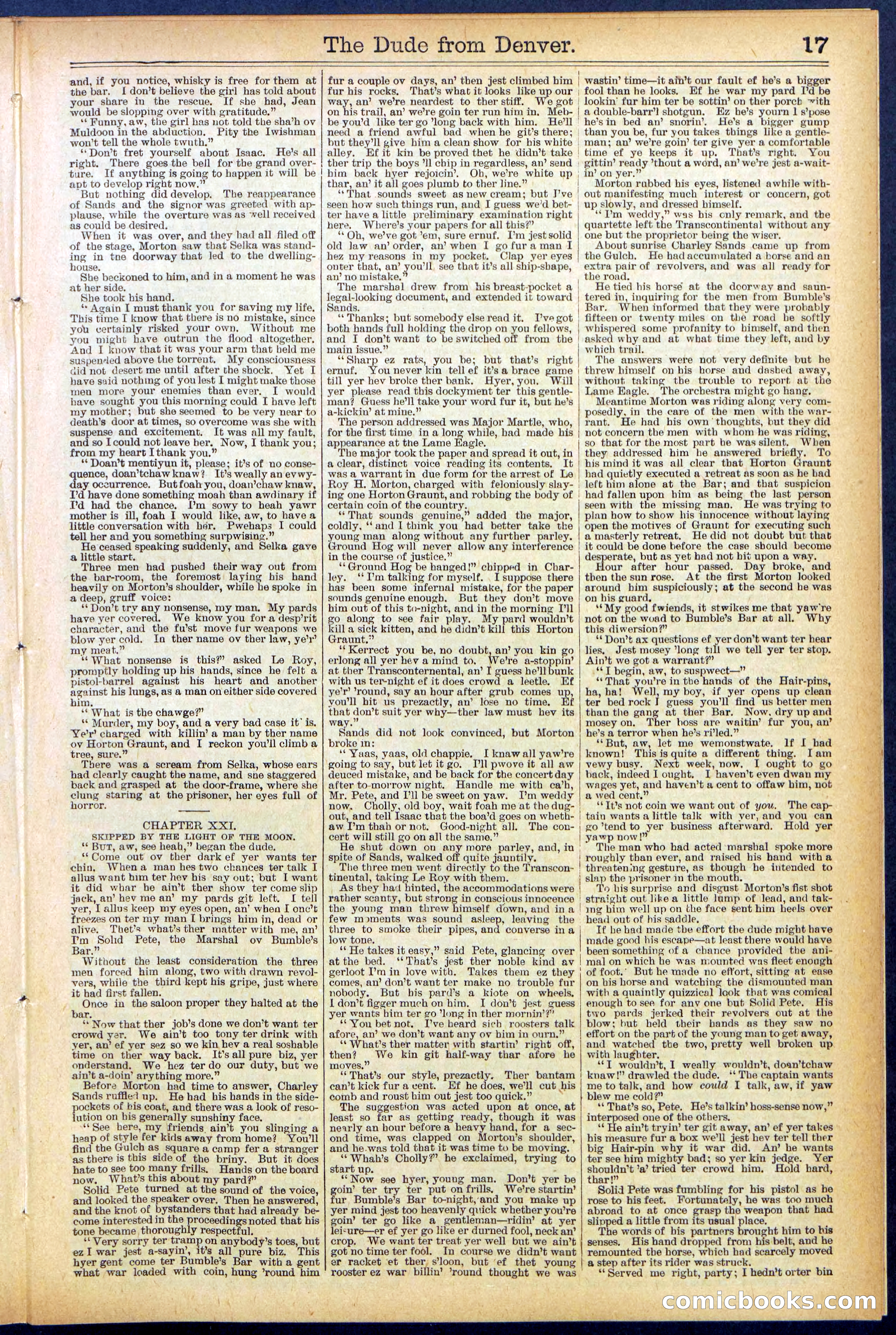 Beadle's New York Dime Library, No. 503 — page 17 of 32