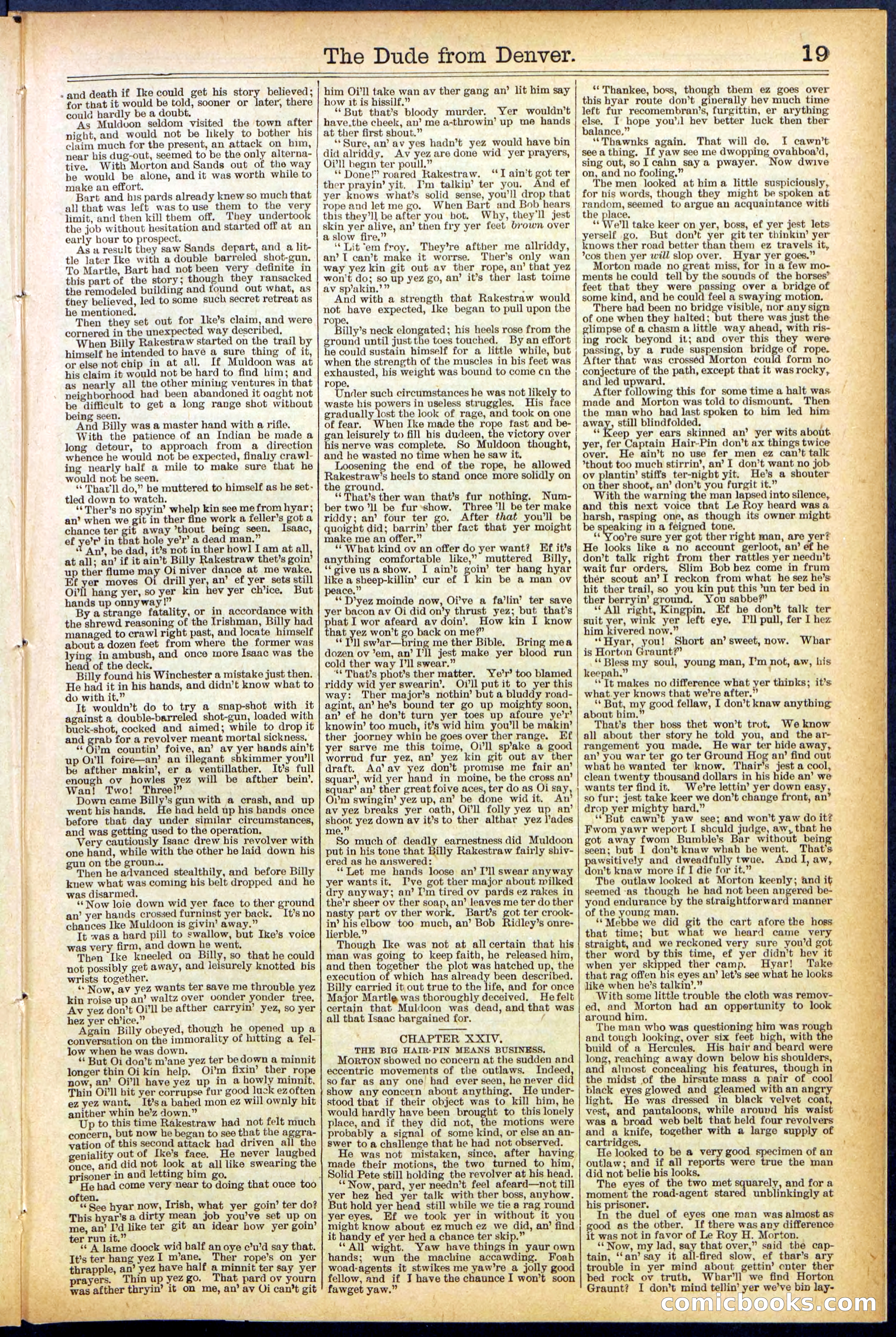Beadle's New York Dime Library, No. 503 — page 19 of 32
