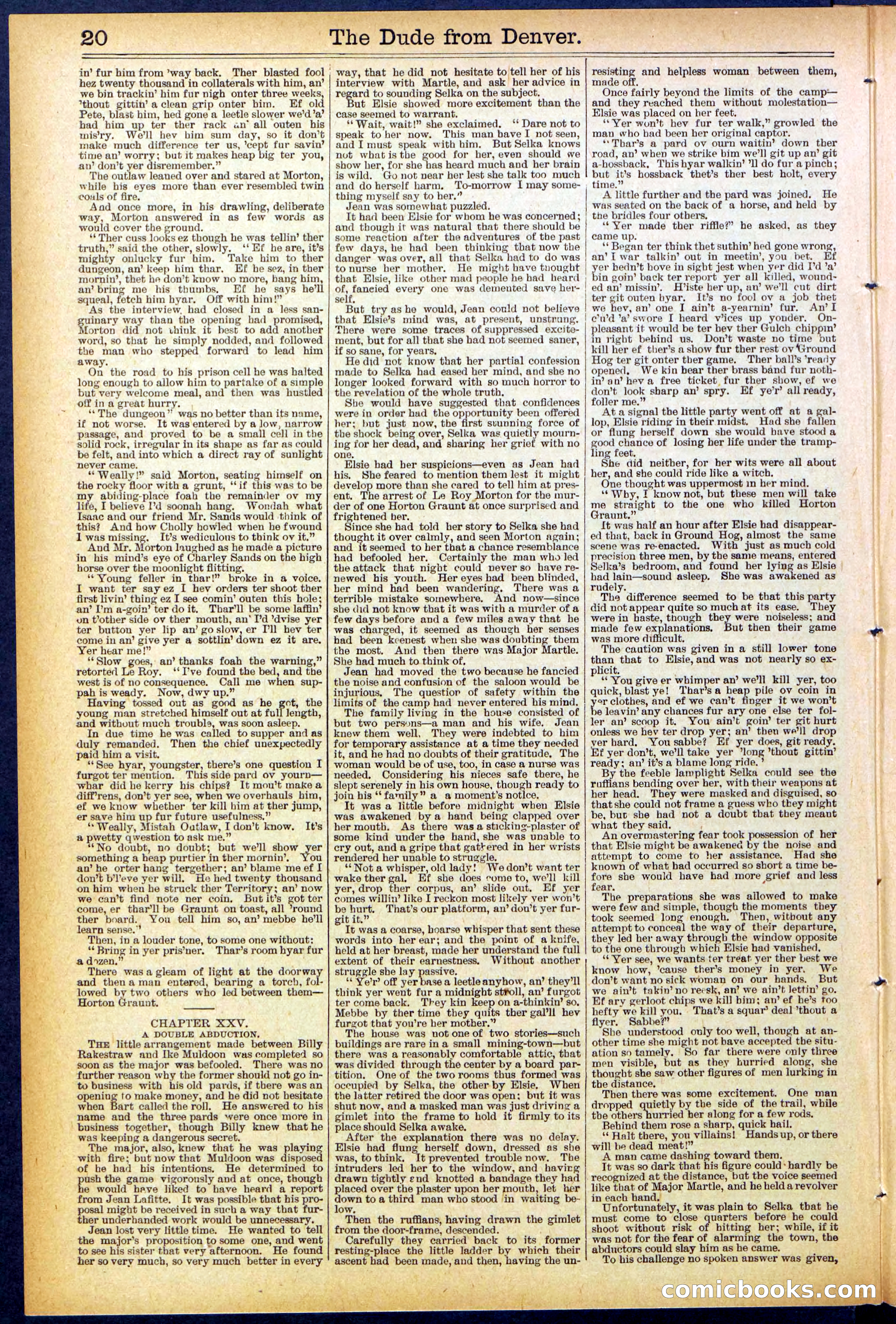 Beadle's New York Dime Library, No. 503 — page 20 of 32