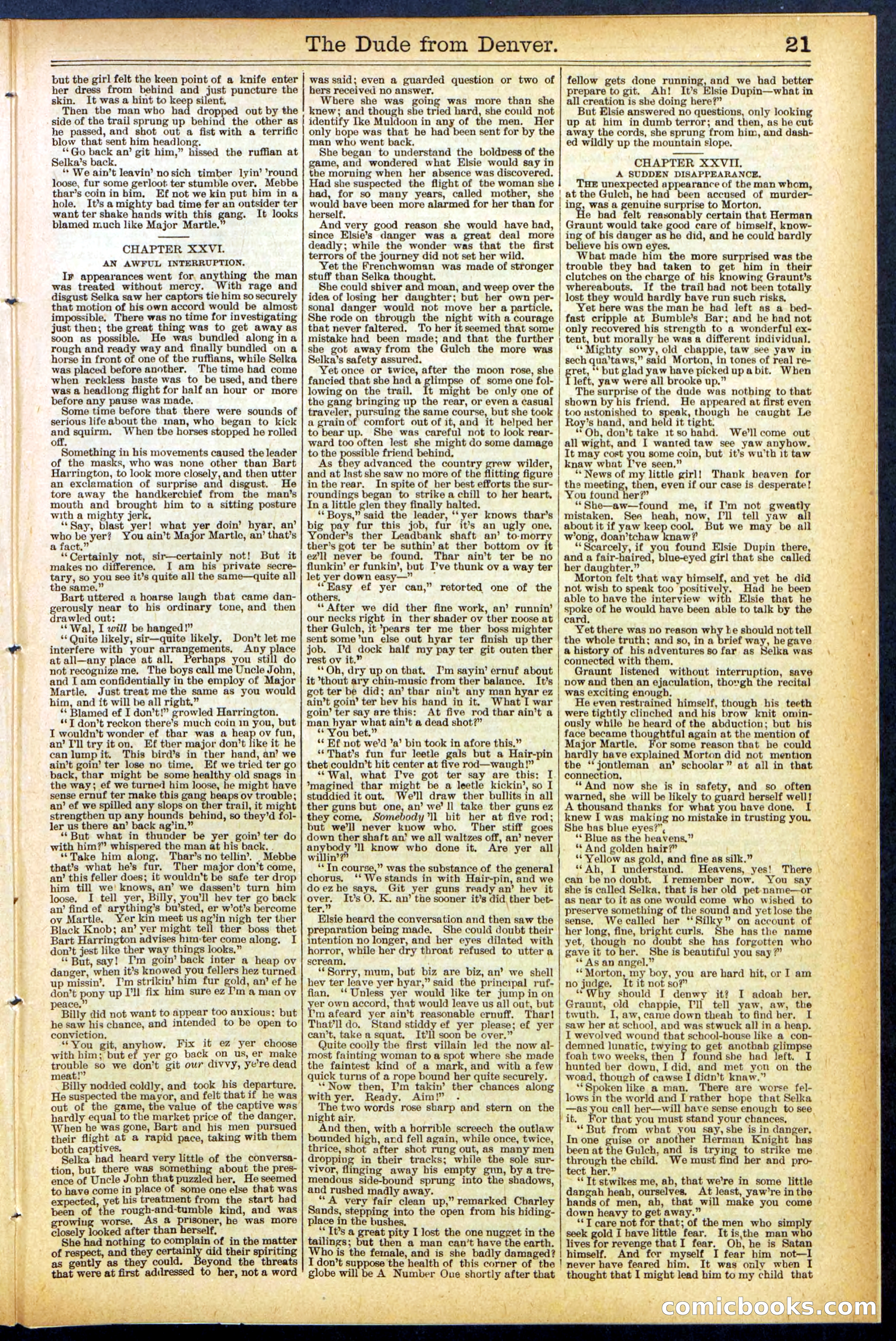 Beadle's New York Dime Library, No. 503 — page 21 of 32