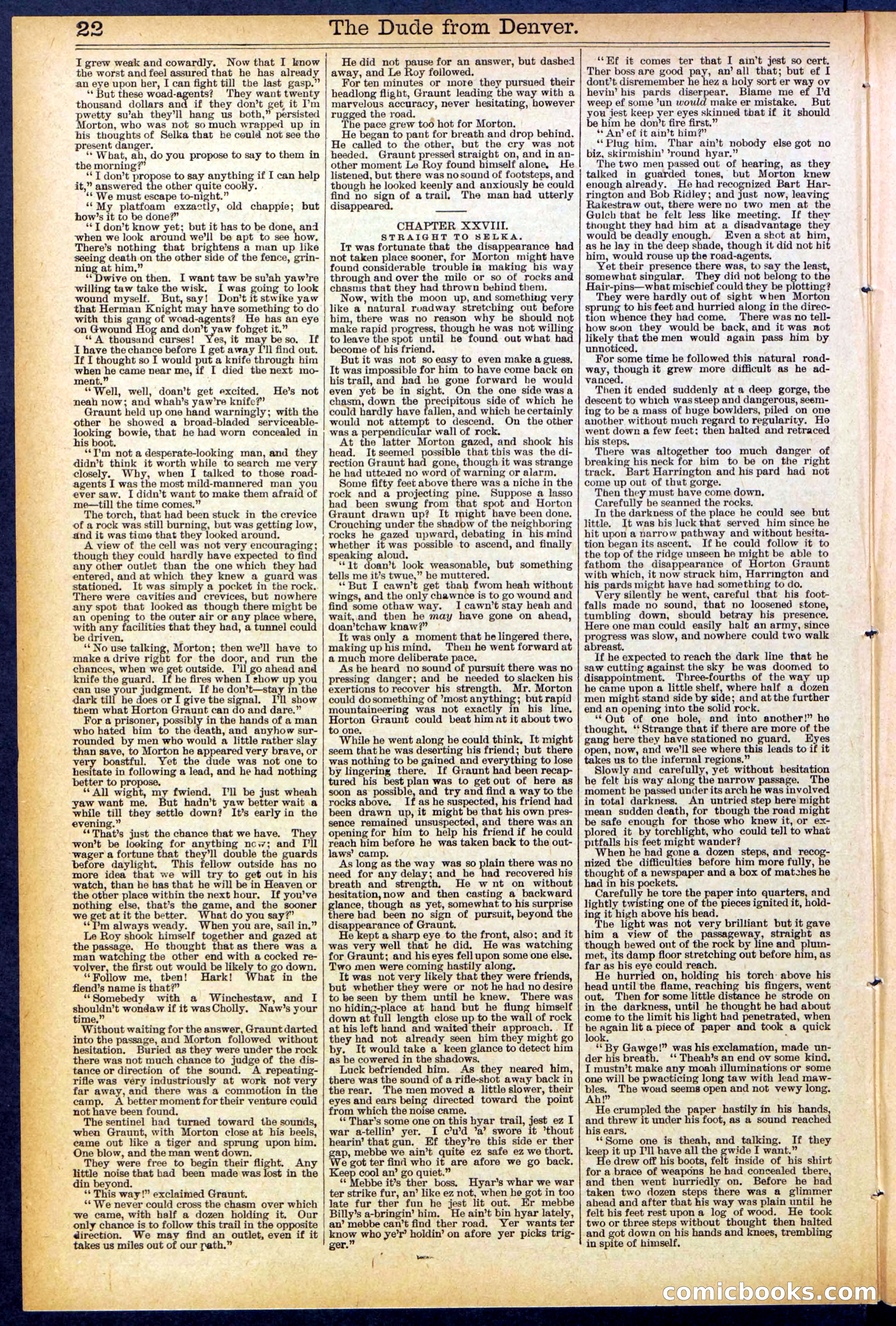 Beadle's New York Dime Library, No. 503 — page 22 of 32
