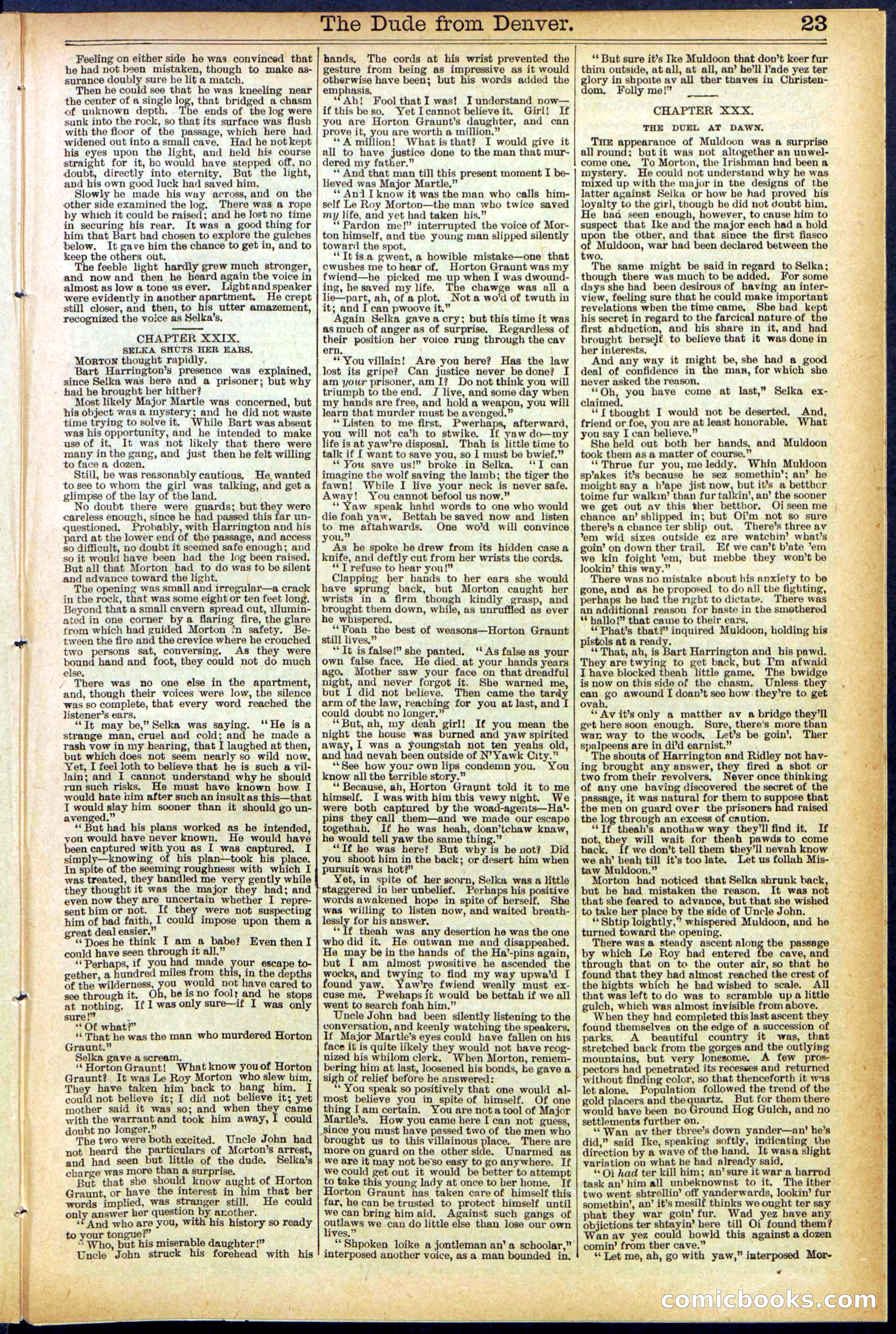 Beadle's New York Dime Library, No. 503 — page 23 of 32