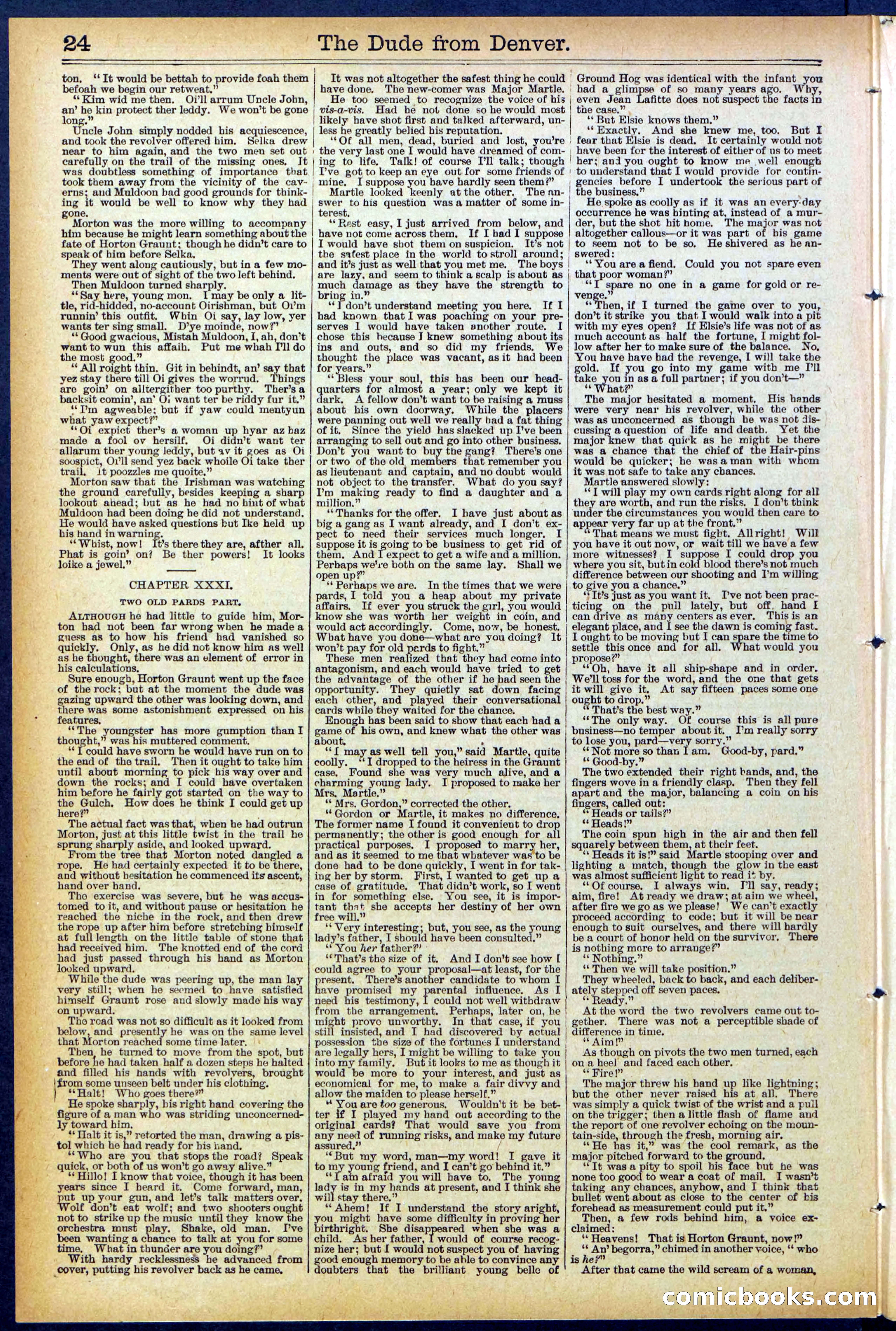 Beadle's New York Dime Library, No. 503 — page 24 of 32