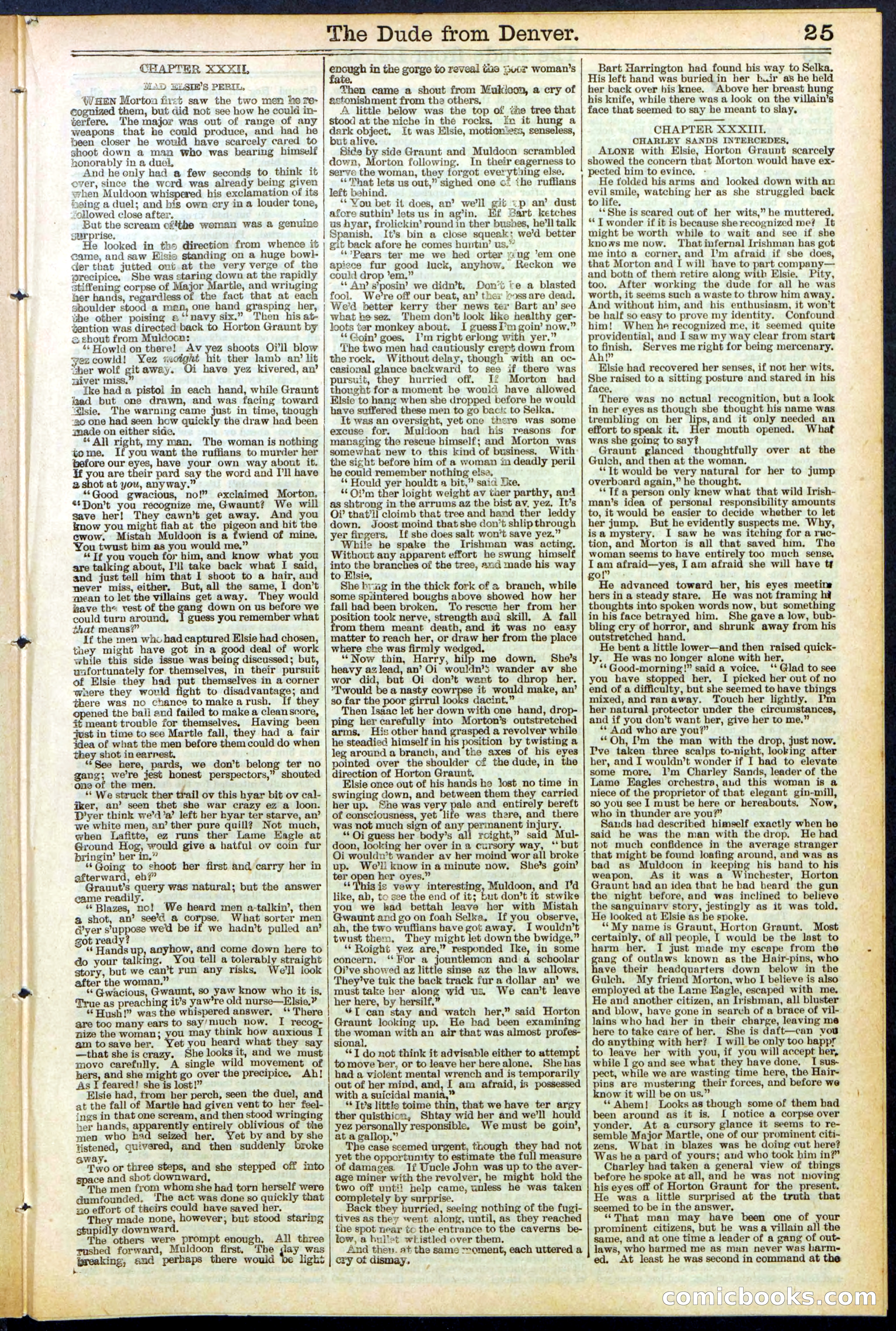 Beadle's New York Dime Library, No. 503 — page 25 of 32