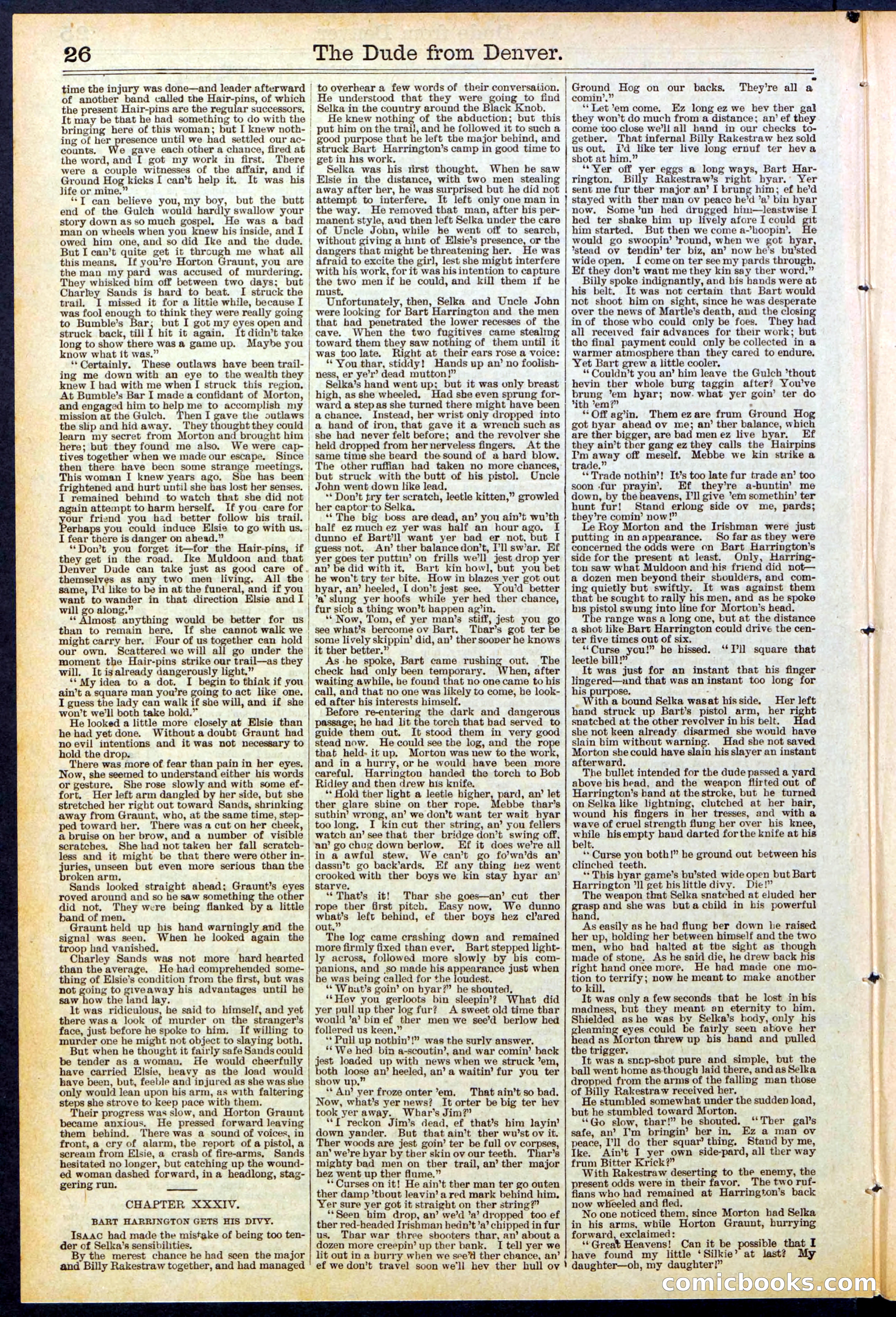 Beadle's New York Dime Library, No. 503 — page 26 of 32