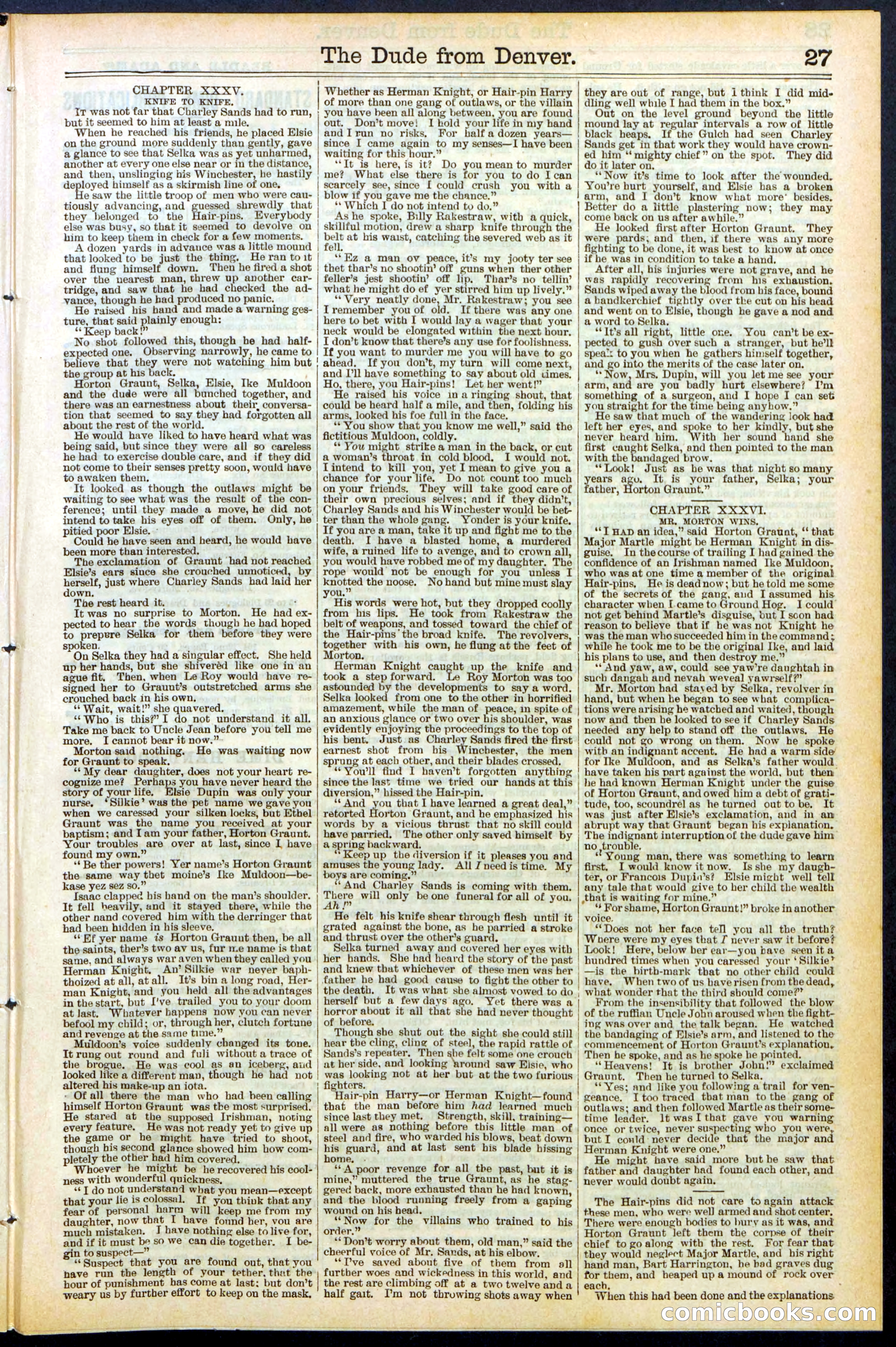 Beadle's New York Dime Library, No. 503 — page 27 of 32