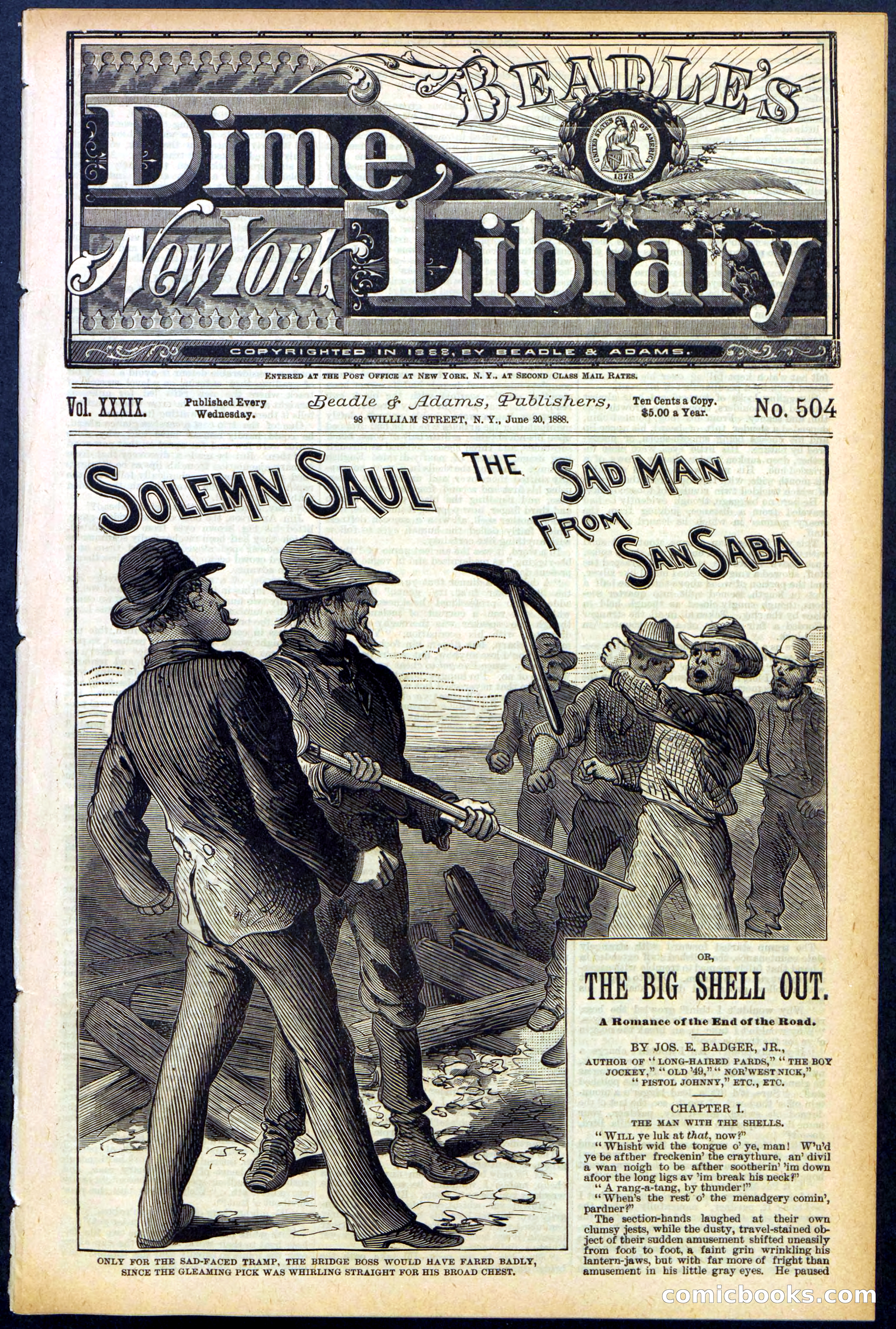Beadle's New York Dime Library No. 504 — page 1 of 32
