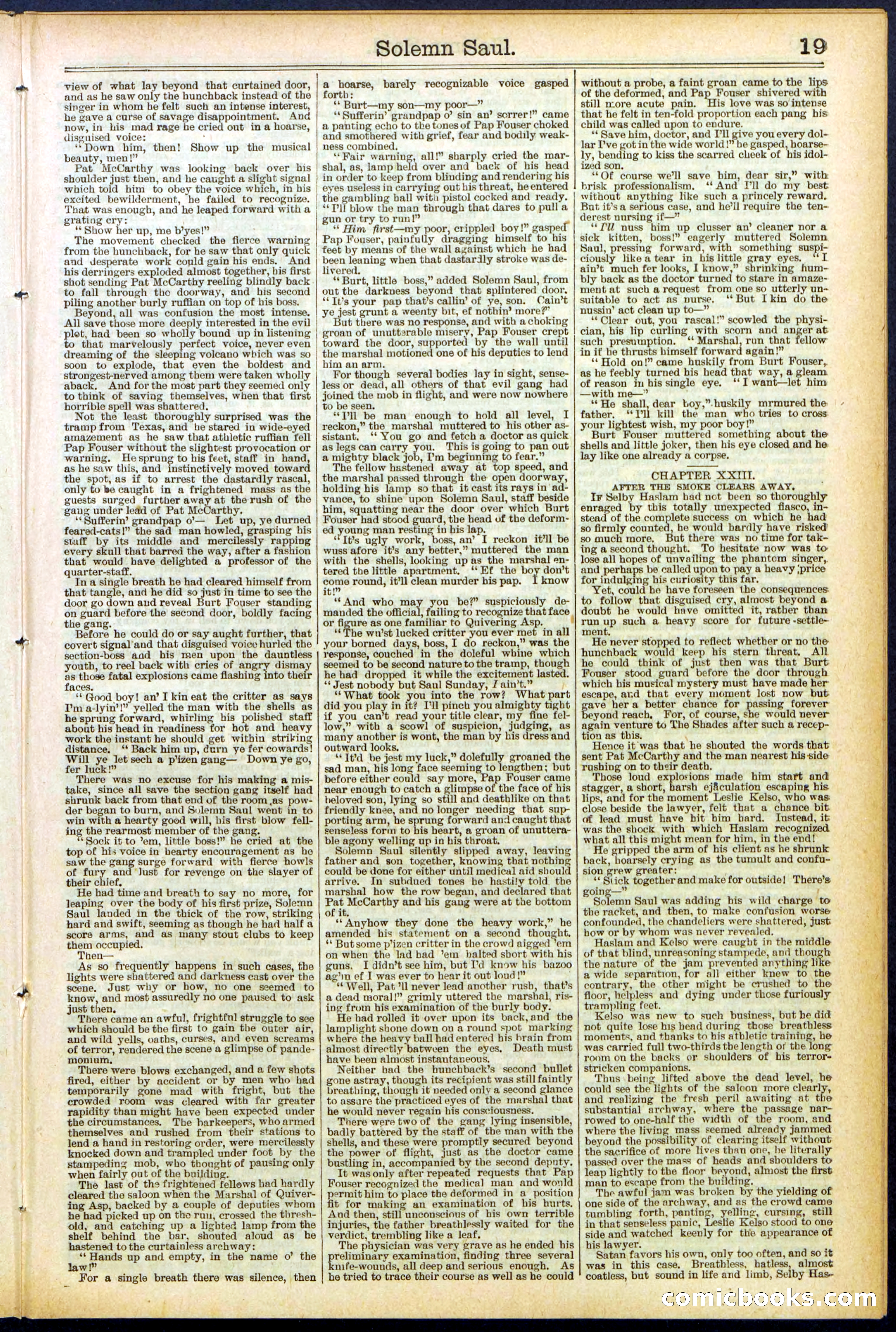 Beadle's New York Dime Library No. 504 — page 19 of 32