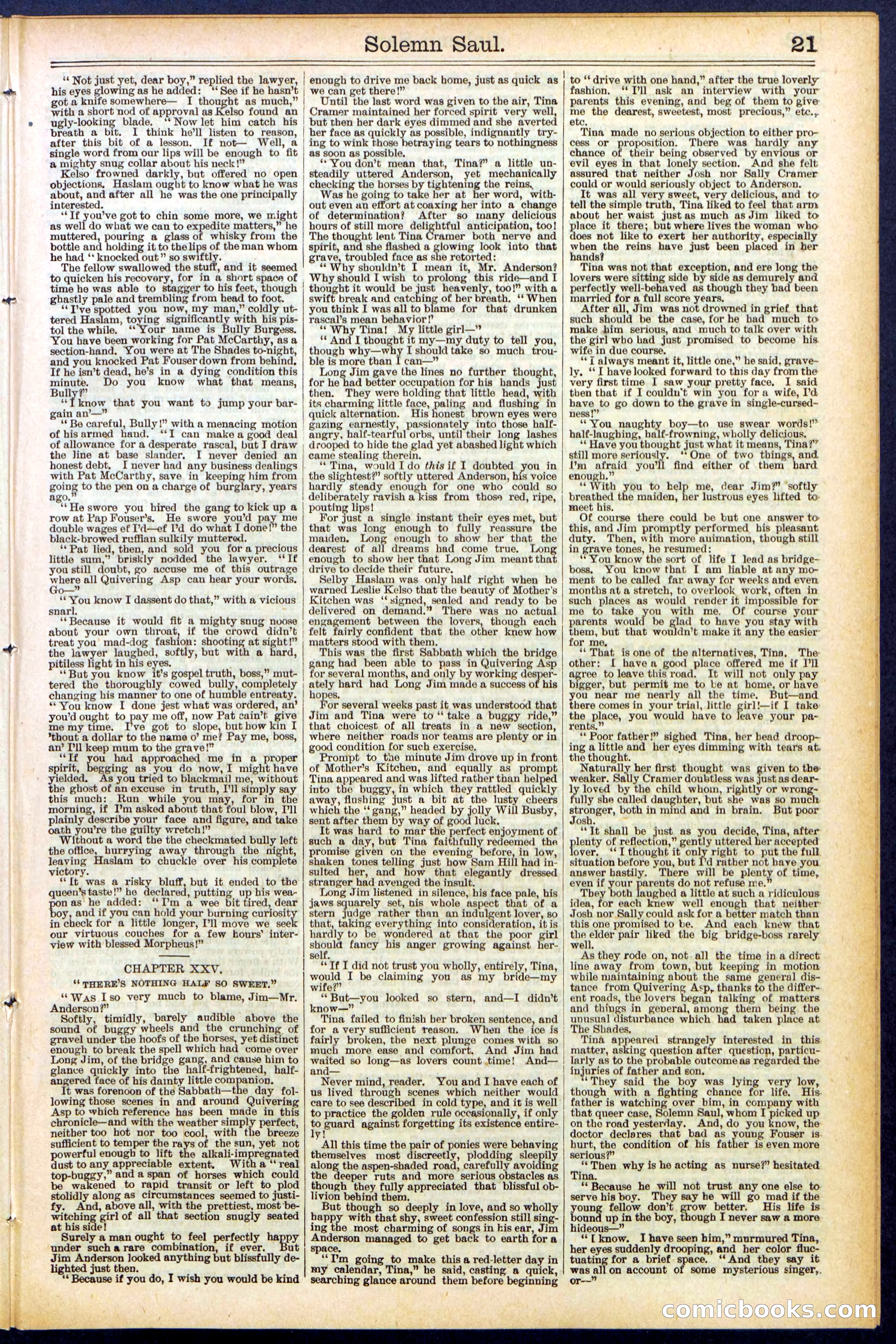 Beadle's New York Dime Library No. 504 — page 21 of 32
