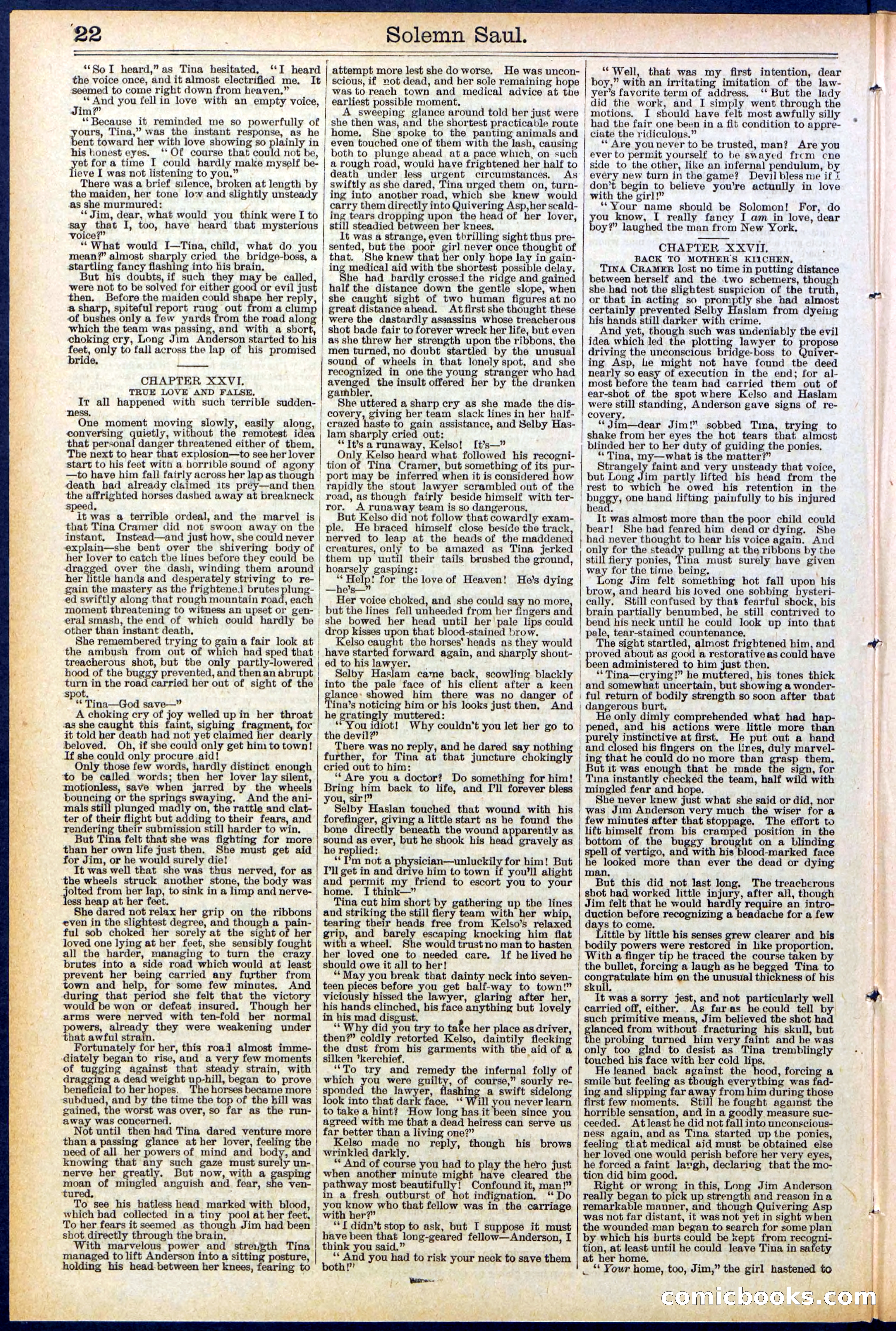 Beadle's New York Dime Library No. 504 — page 22 of 32