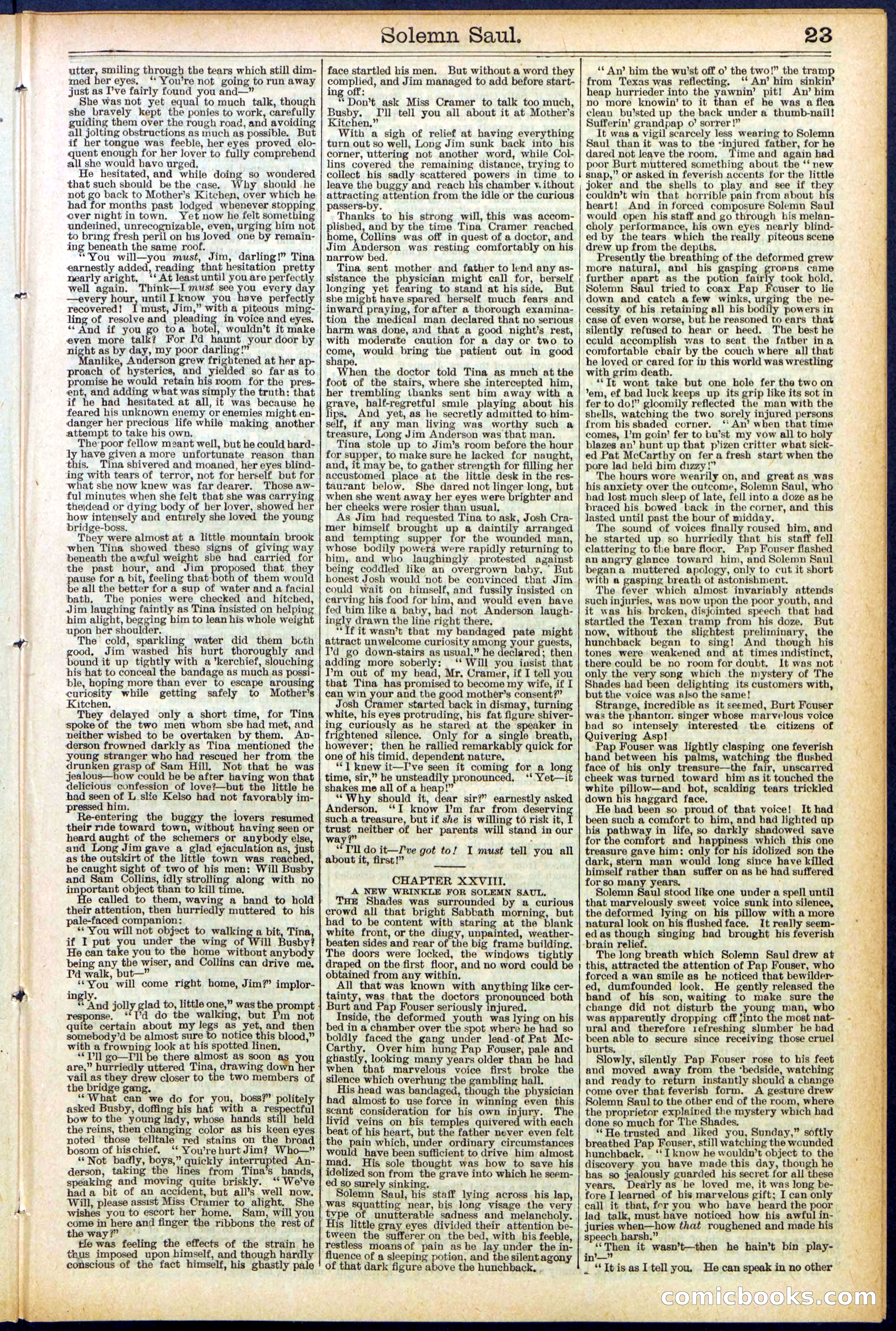 Beadle's New York Dime Library No. 504 — page 23 of 32