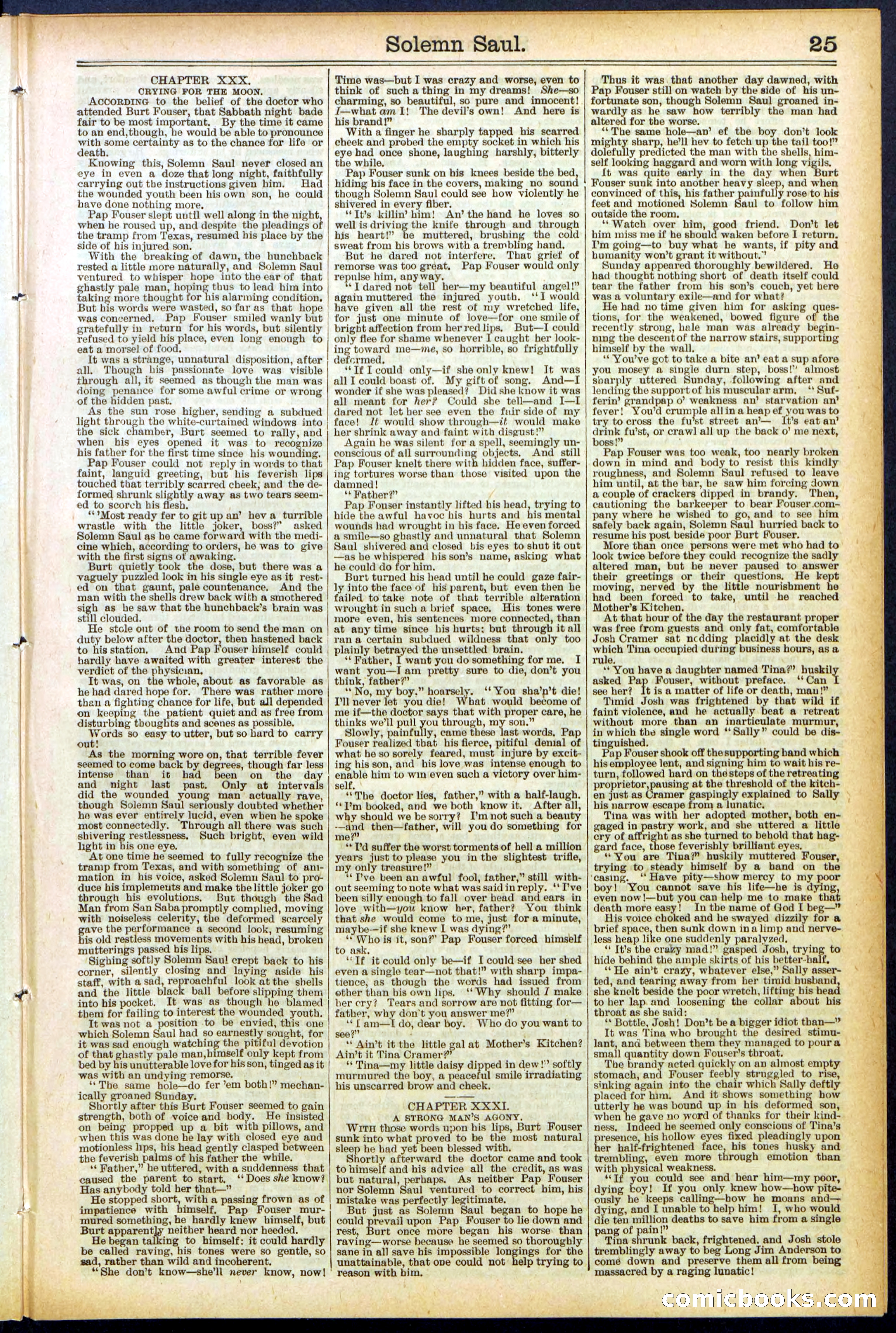 Beadle's New York Dime Library No. 504 — page 25 of 32
