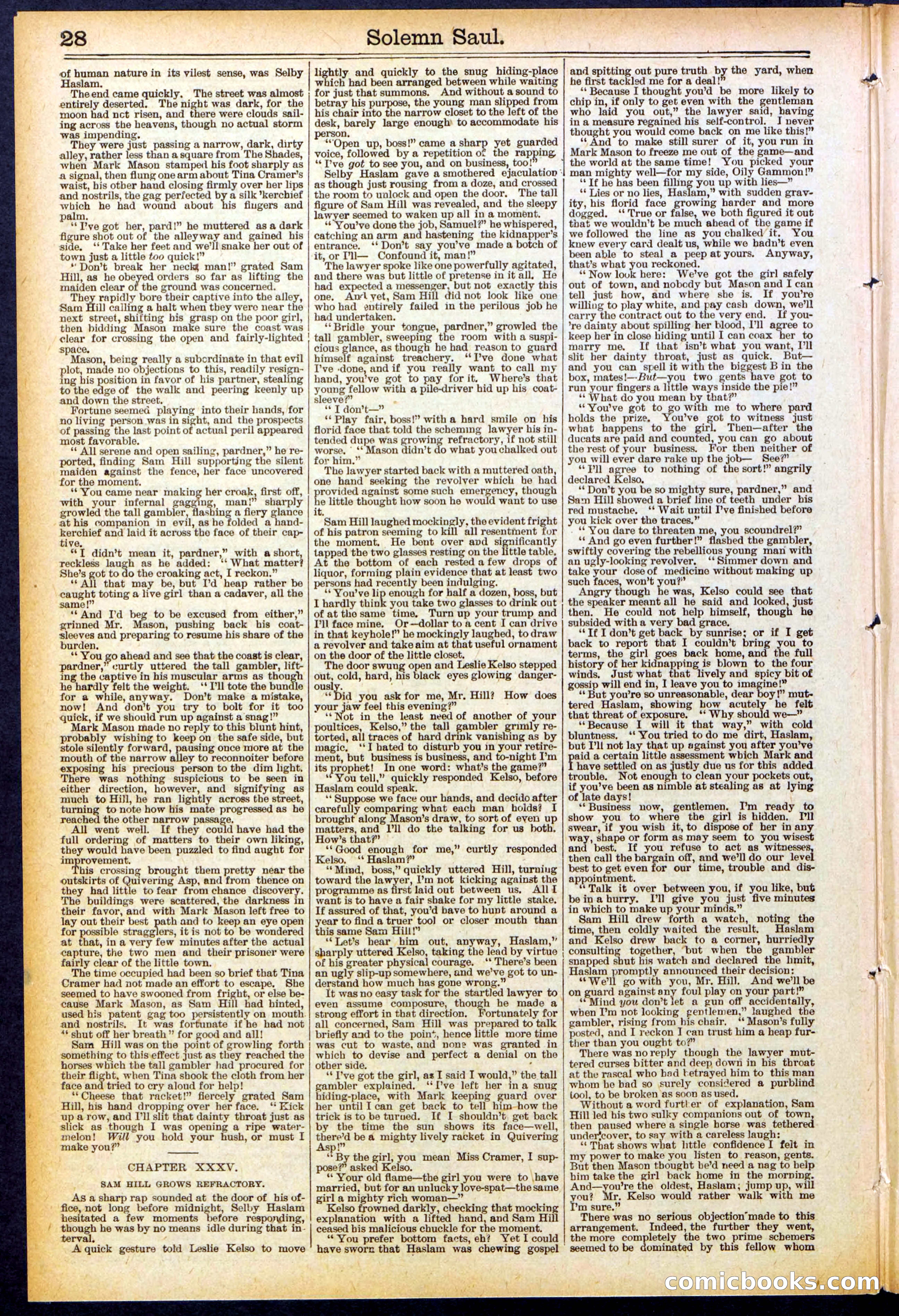 Beadle's New York Dime Library No. 504 — page 28 of 32