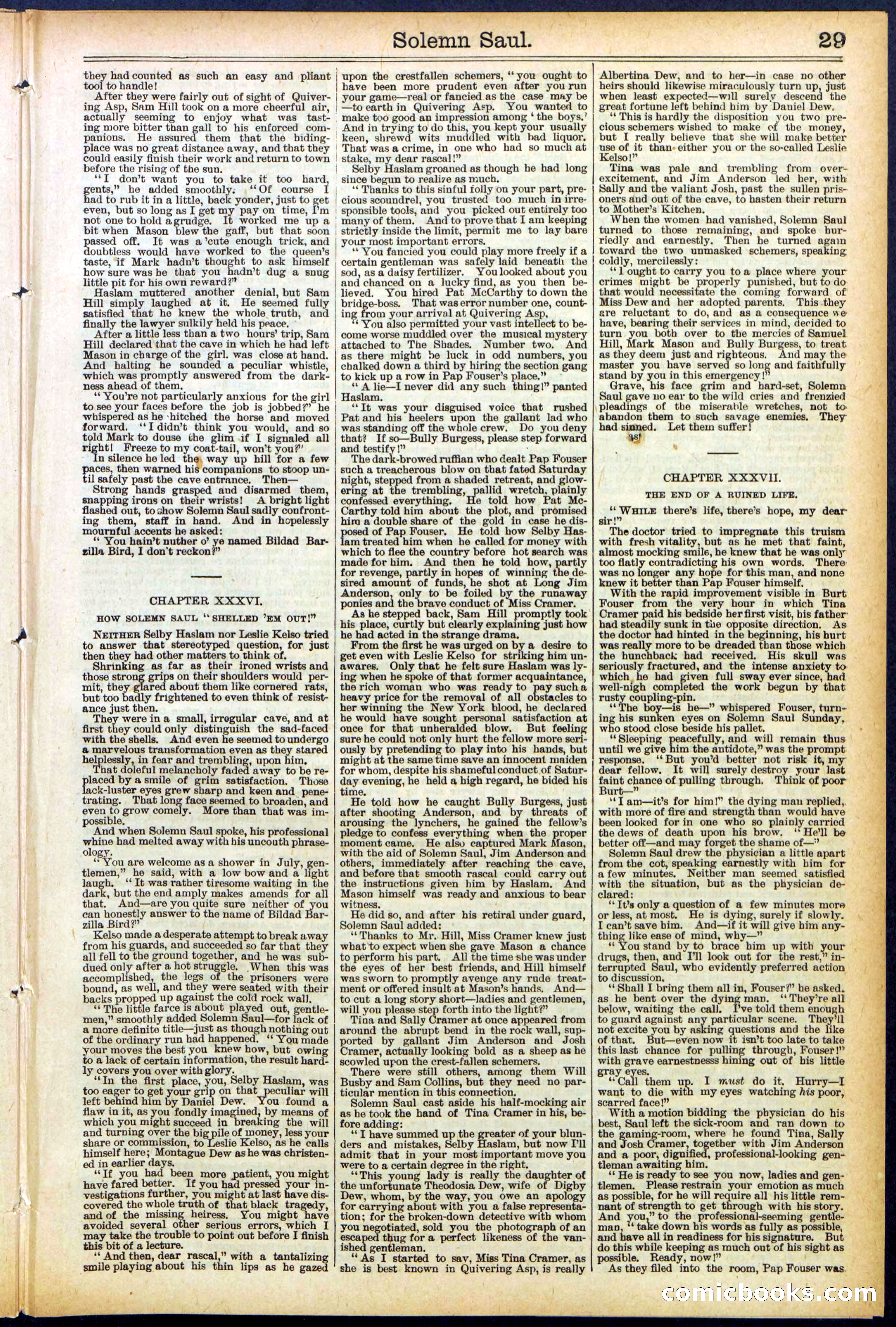 Beadle's New York Dime Library No. 504 — page 29 of 32