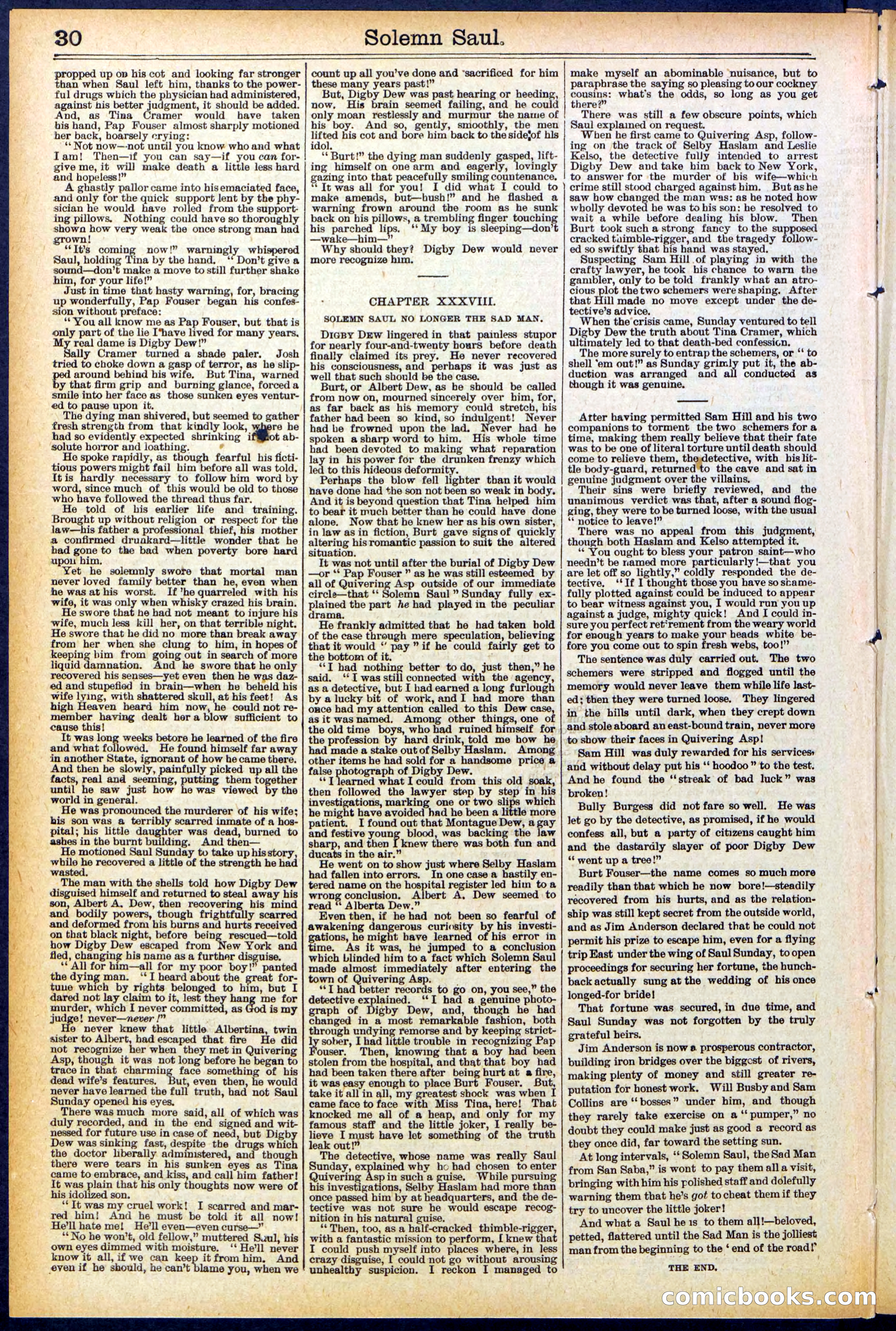 Beadle's New York Dime Library No. 504 — page 30 of 32