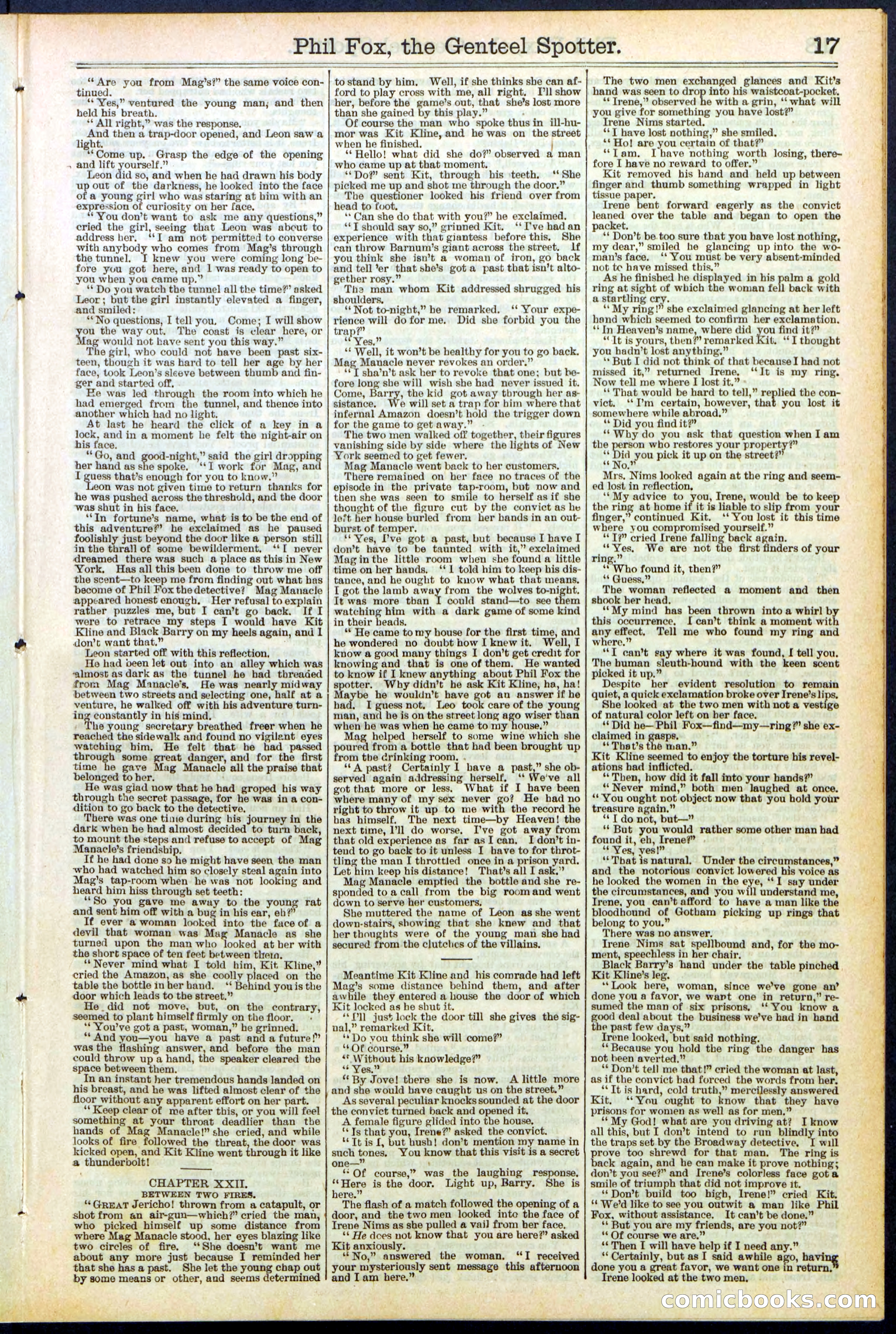 Beadle's New York Dime Library No. 505 — page 17 of 32