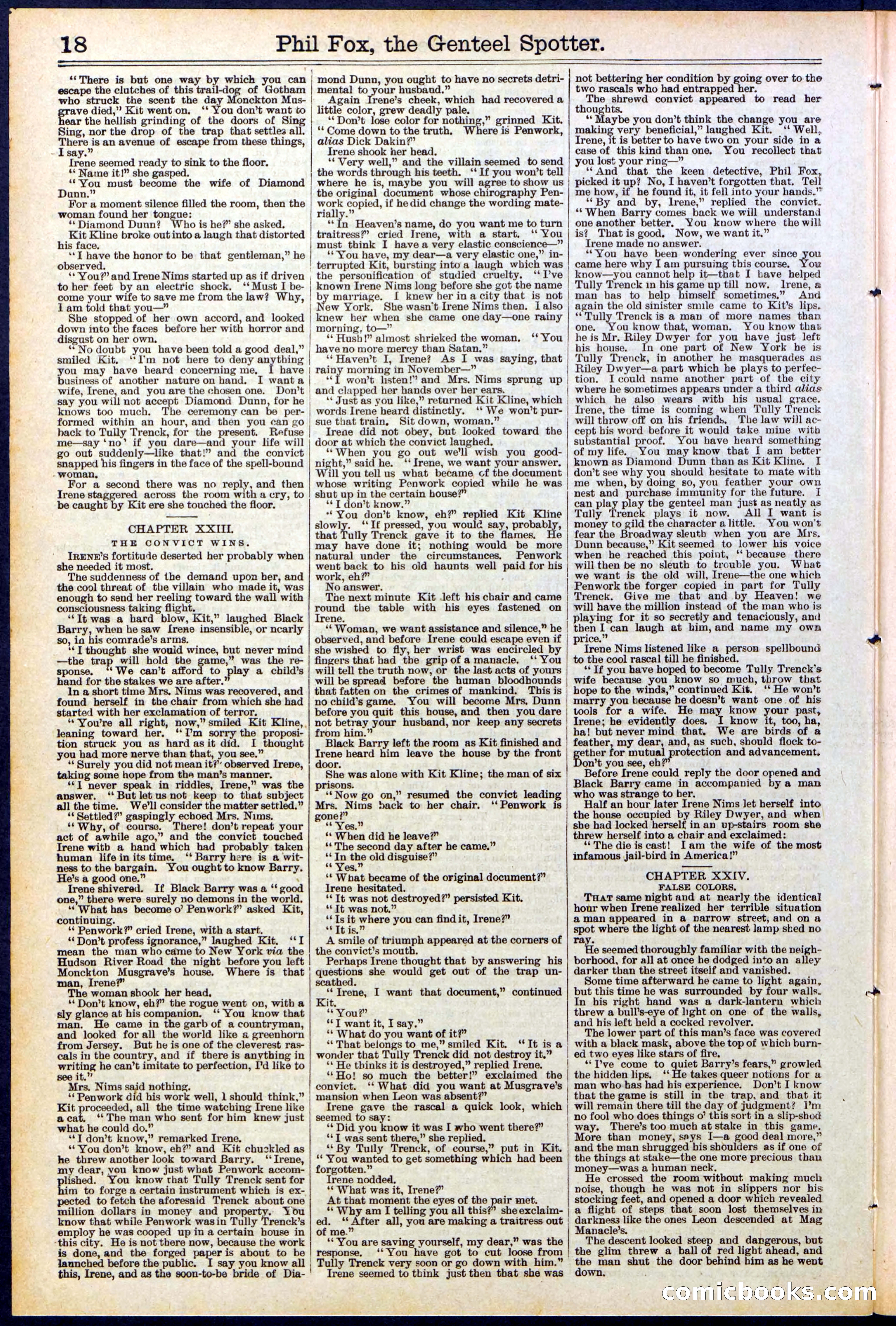 Beadle's New York Dime Library No. 505 — page 18 of 32