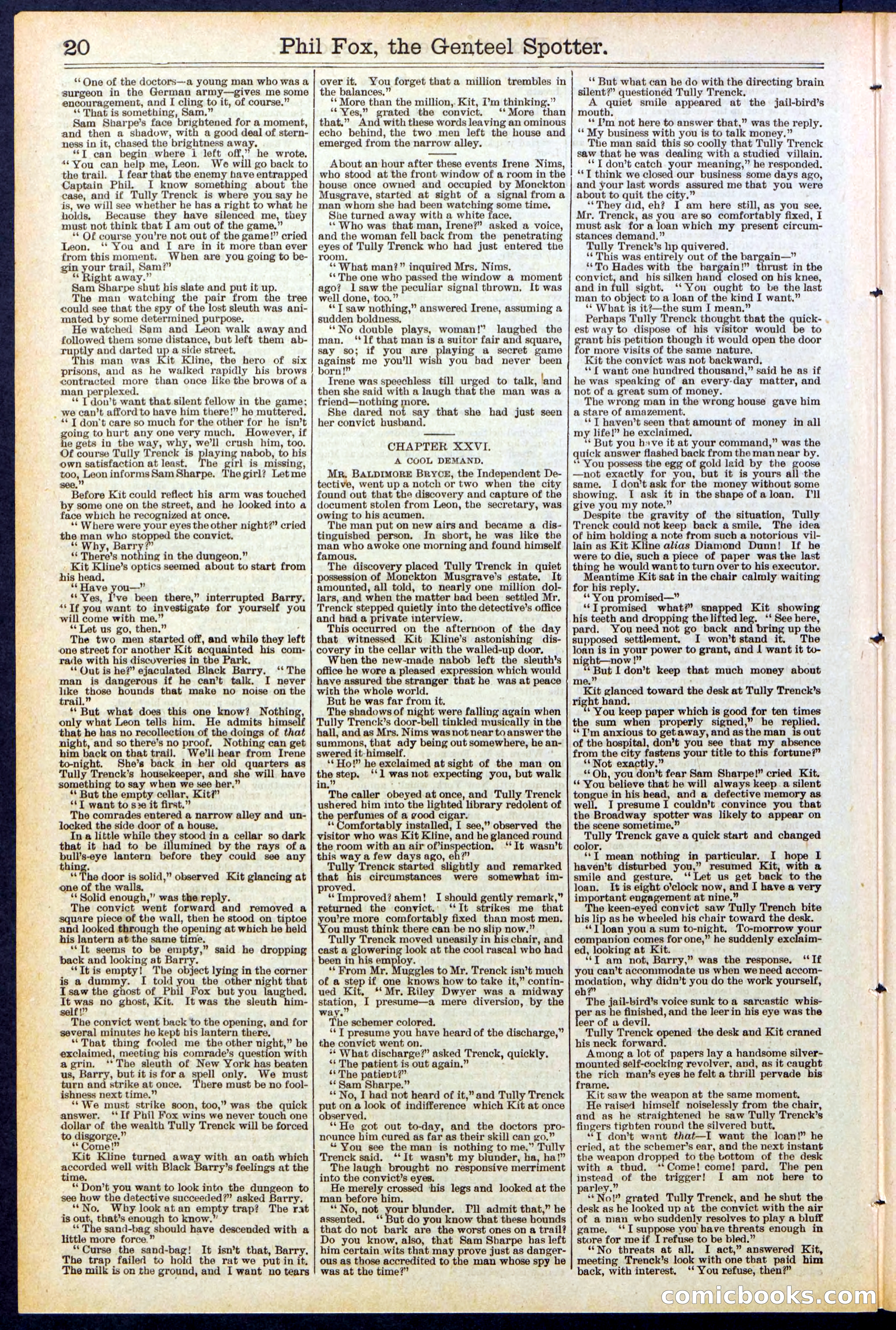 Beadle's New York Dime Library No. 505 — page 20 of 32