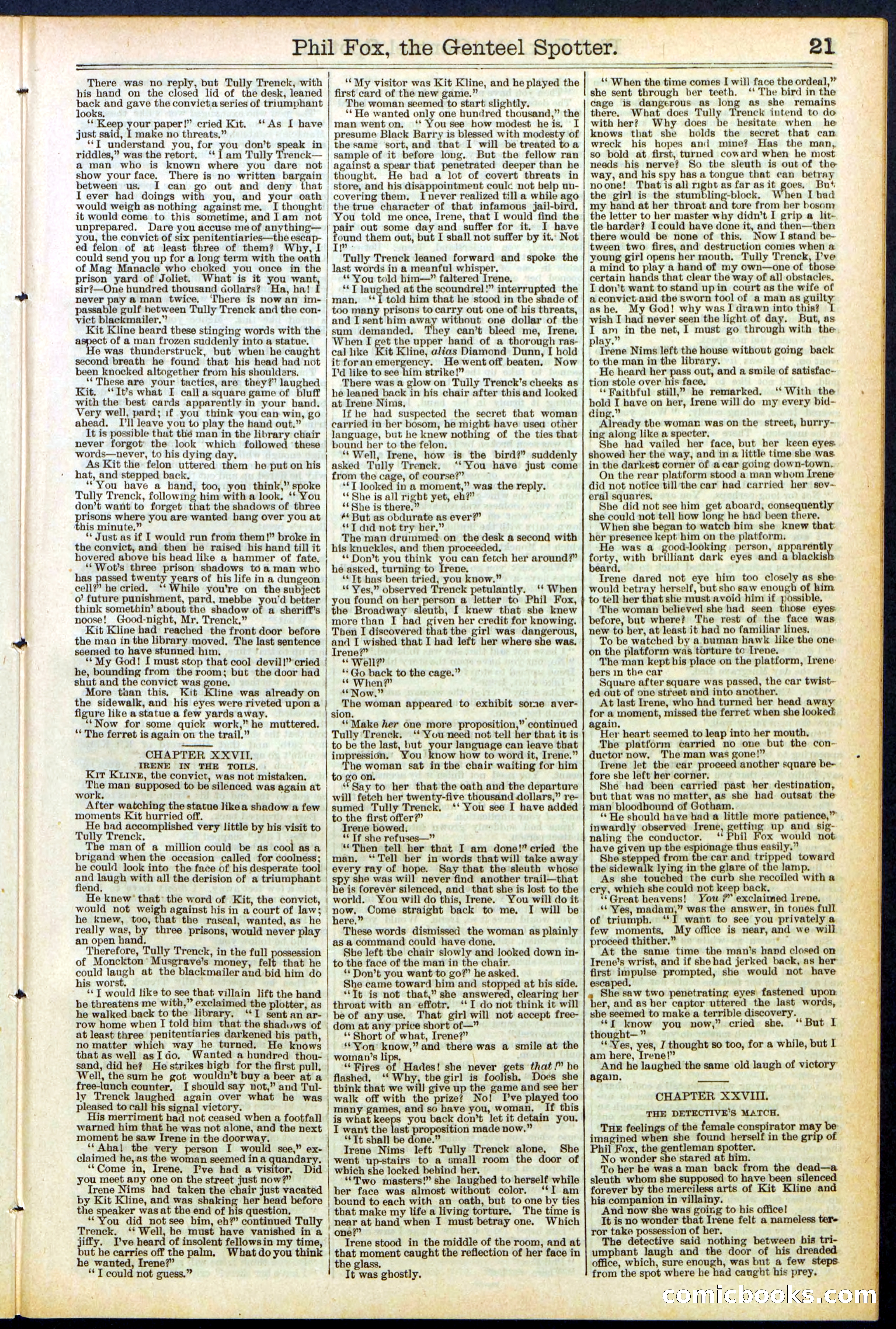 Beadle's New York Dime Library No. 505 — page 21 of 32