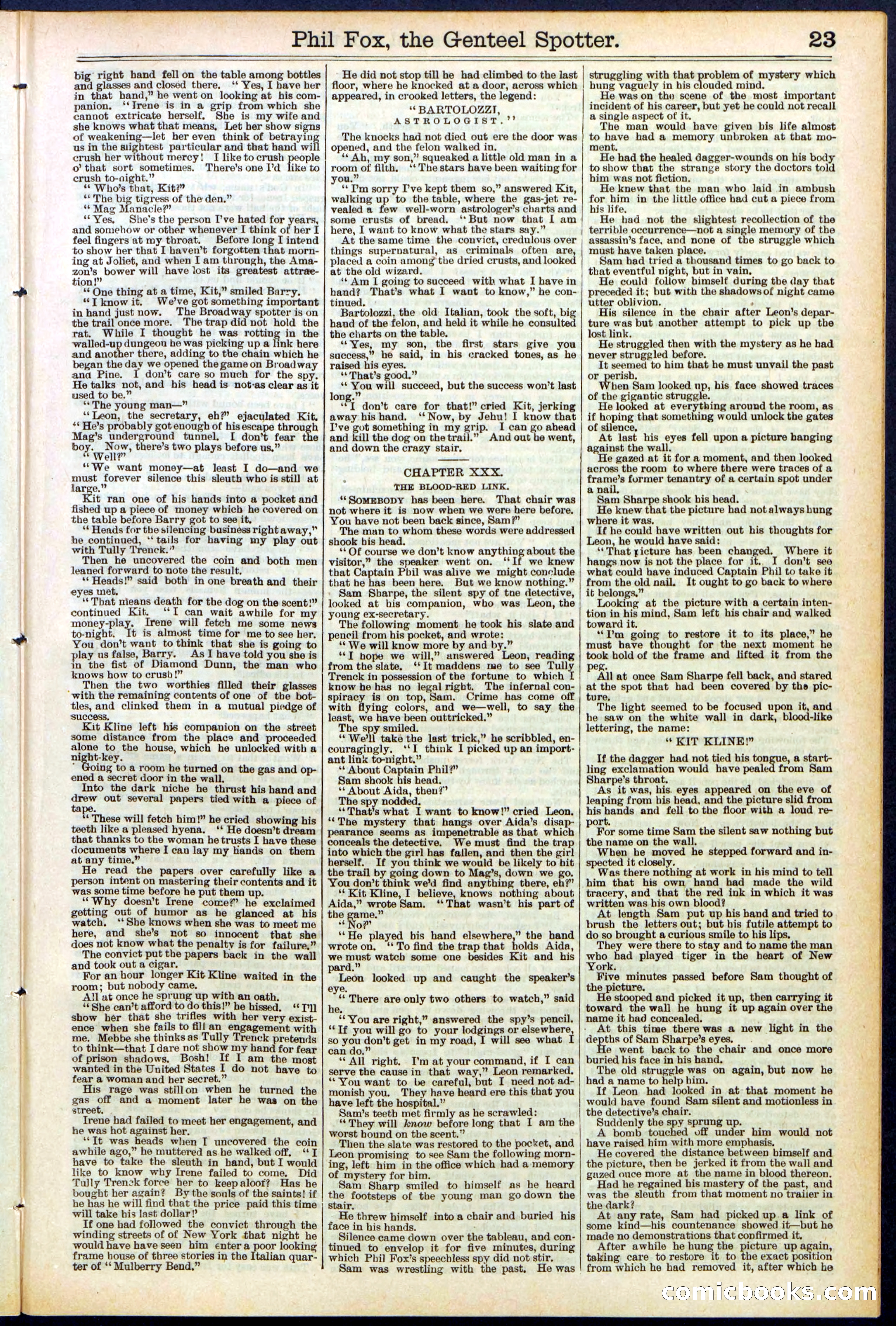 Beadle's New York Dime Library No. 505 — page 23 of 32