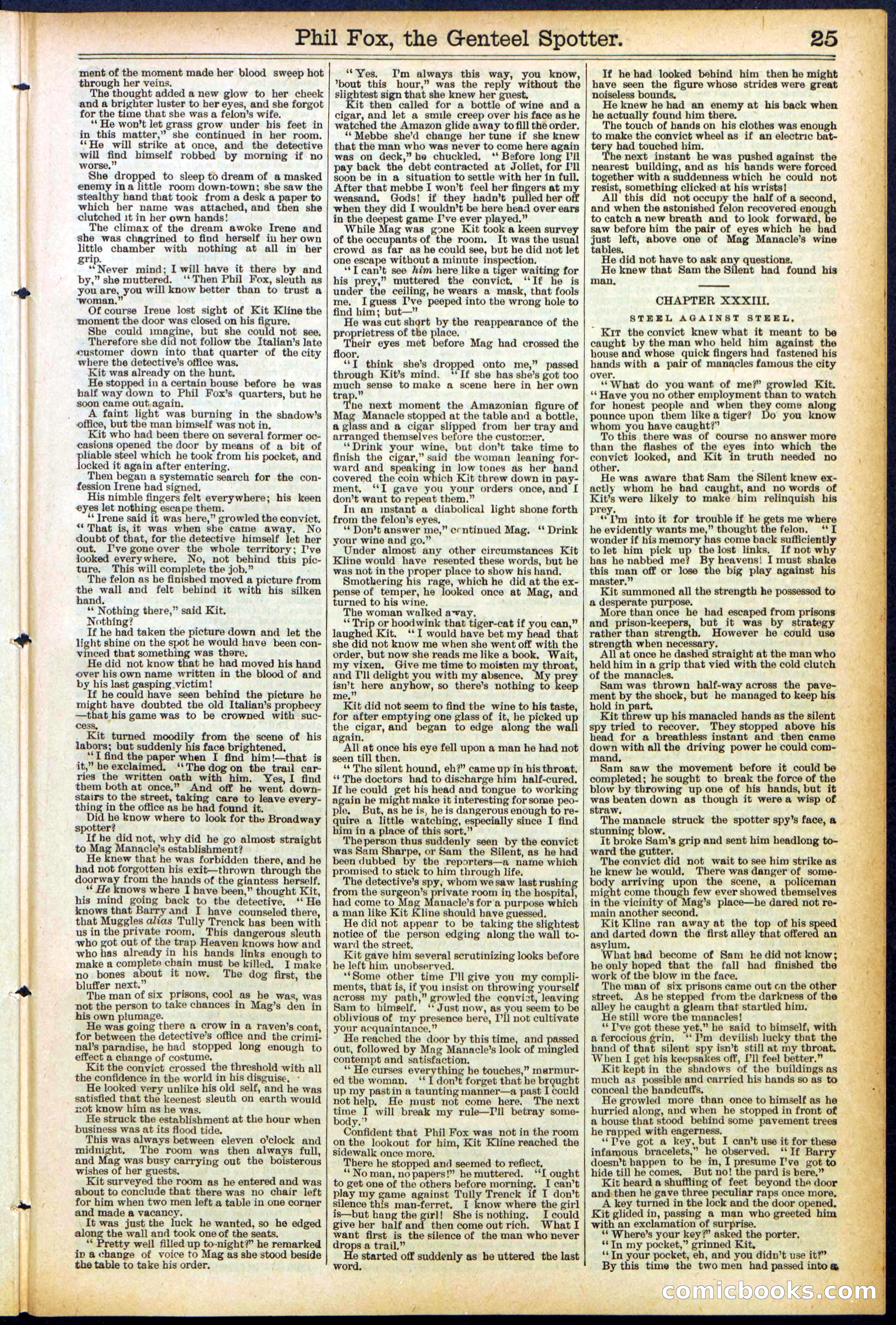 Beadle's New York Dime Library No. 505 — page 25 of 32