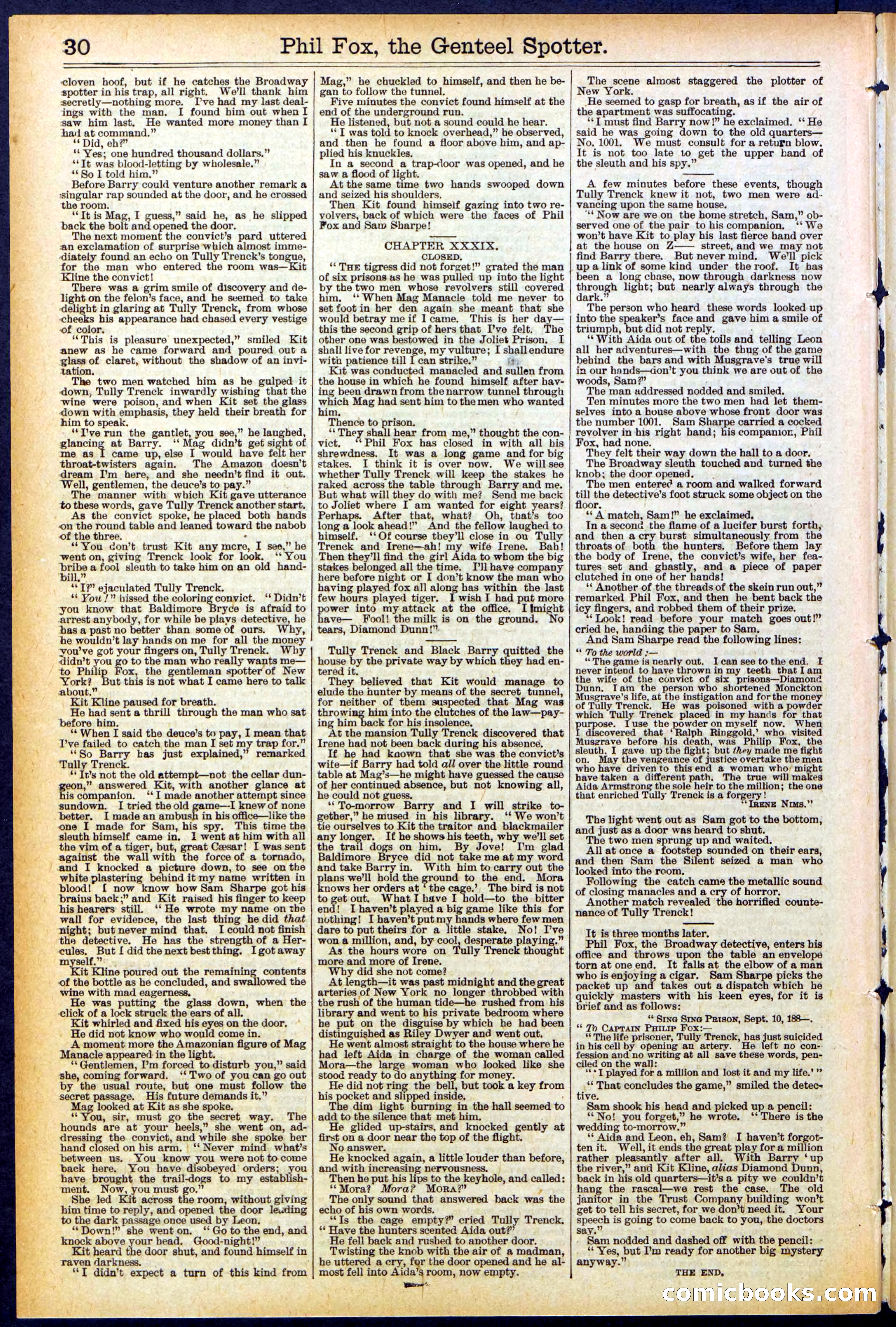 Beadle's New York Dime Library No. 505 — page 30 of 32