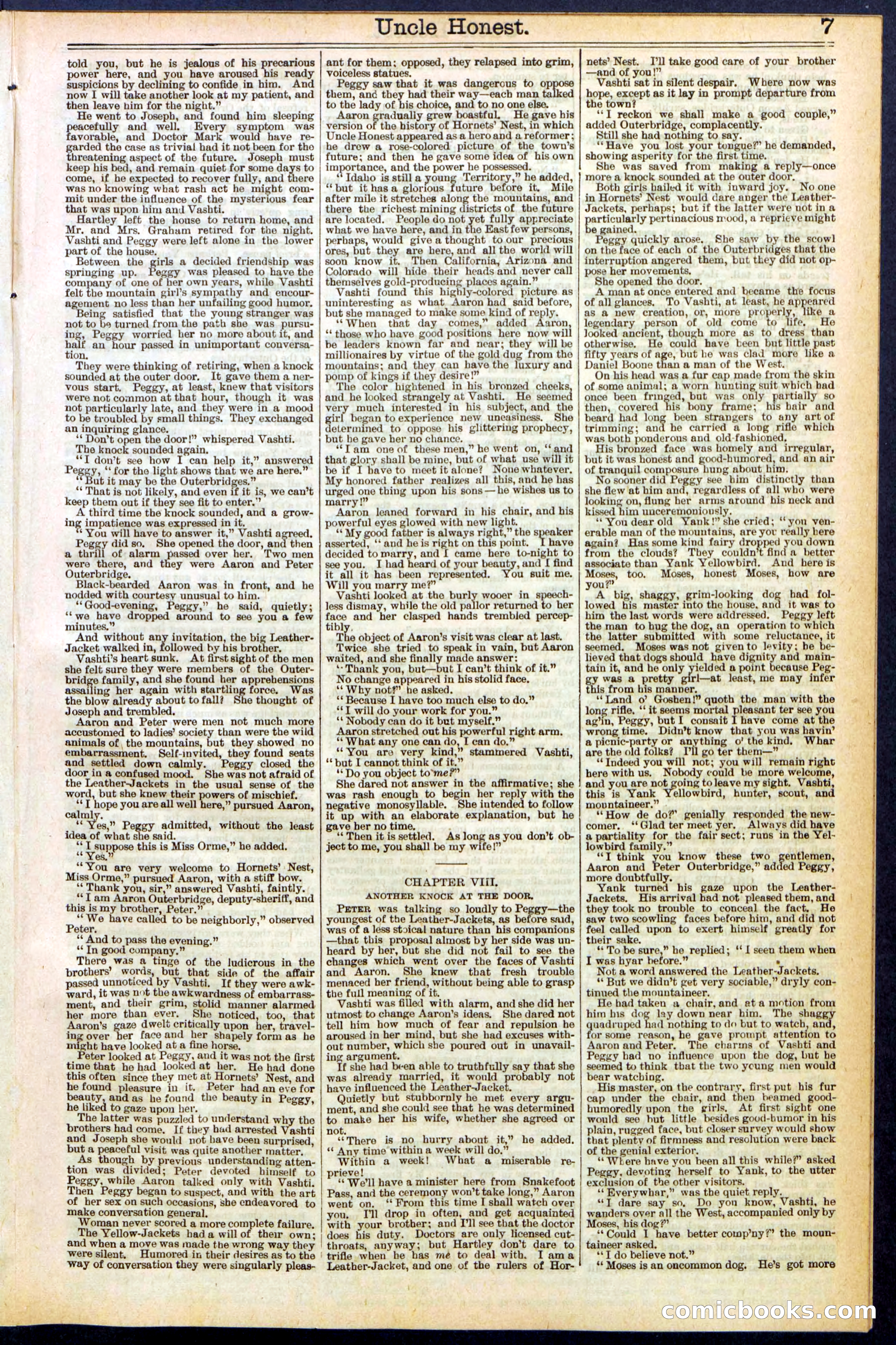 Beadle's New York Dime Library, No. 506 — page 7 of 32