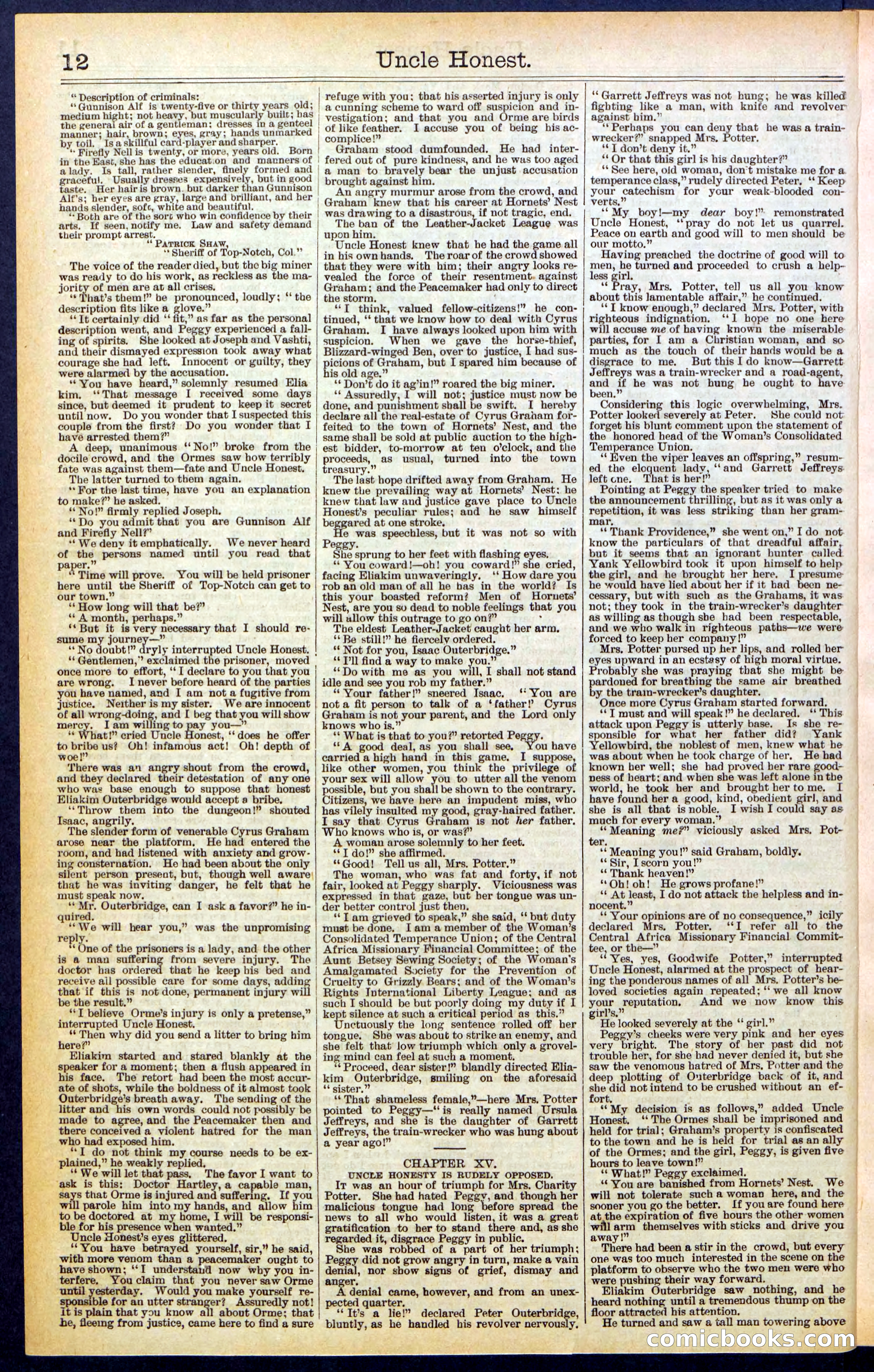 Beadle's New York Dime Library, No. 506 — page 12 of 32