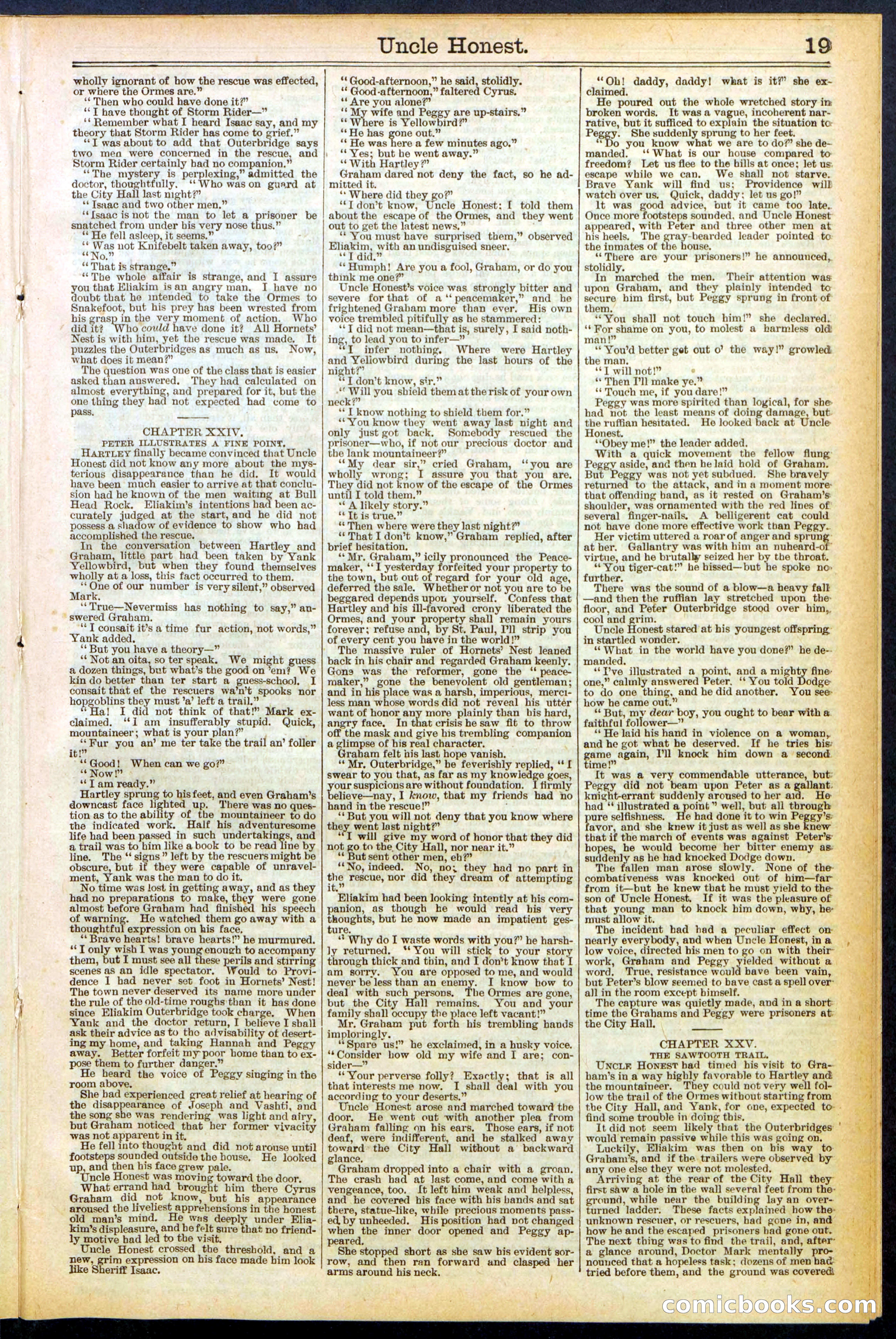 Beadle's New York Dime Library, No. 506 — page 19 of 32