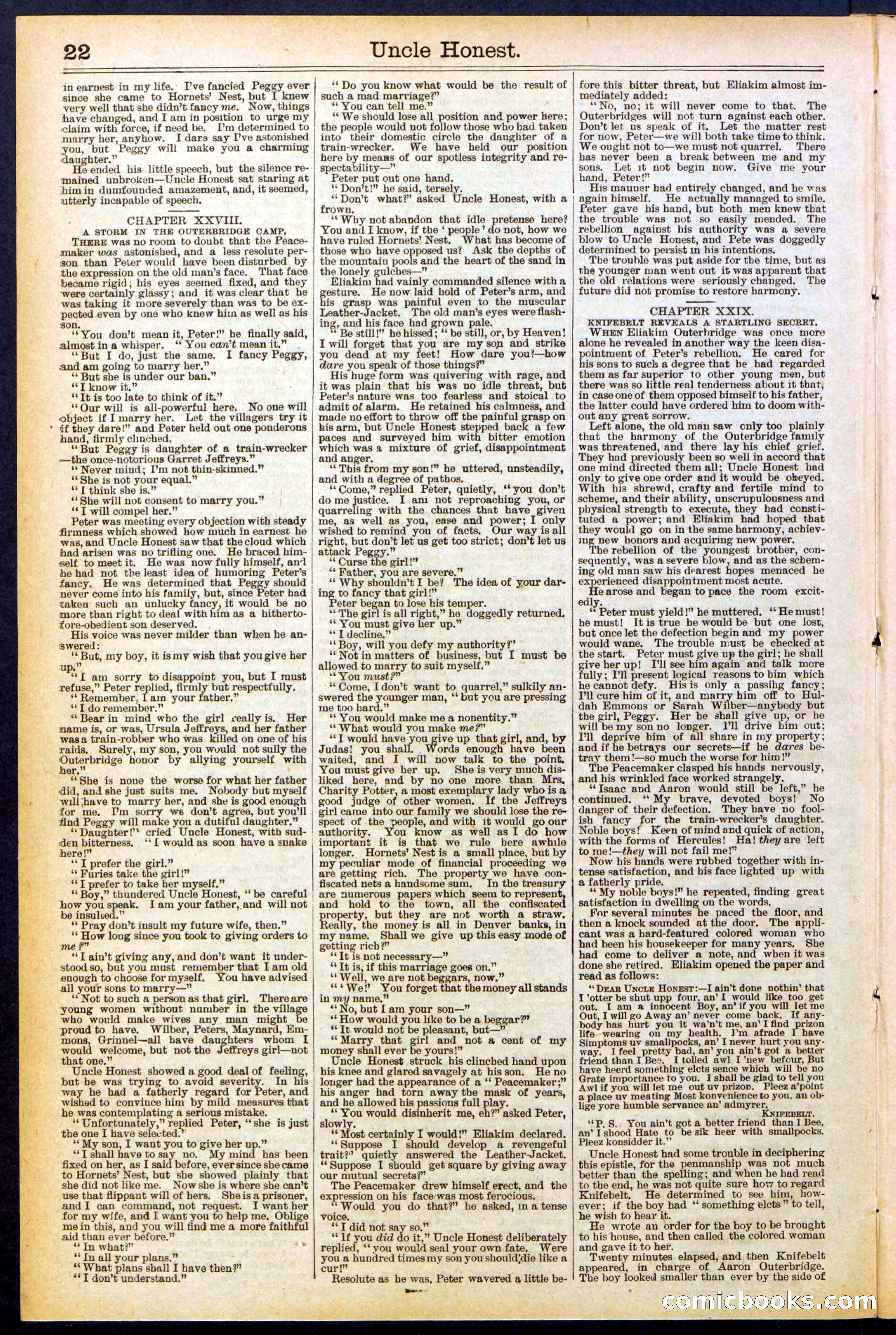 Beadle's New York Dime Library, No. 506 — page 22 of 32