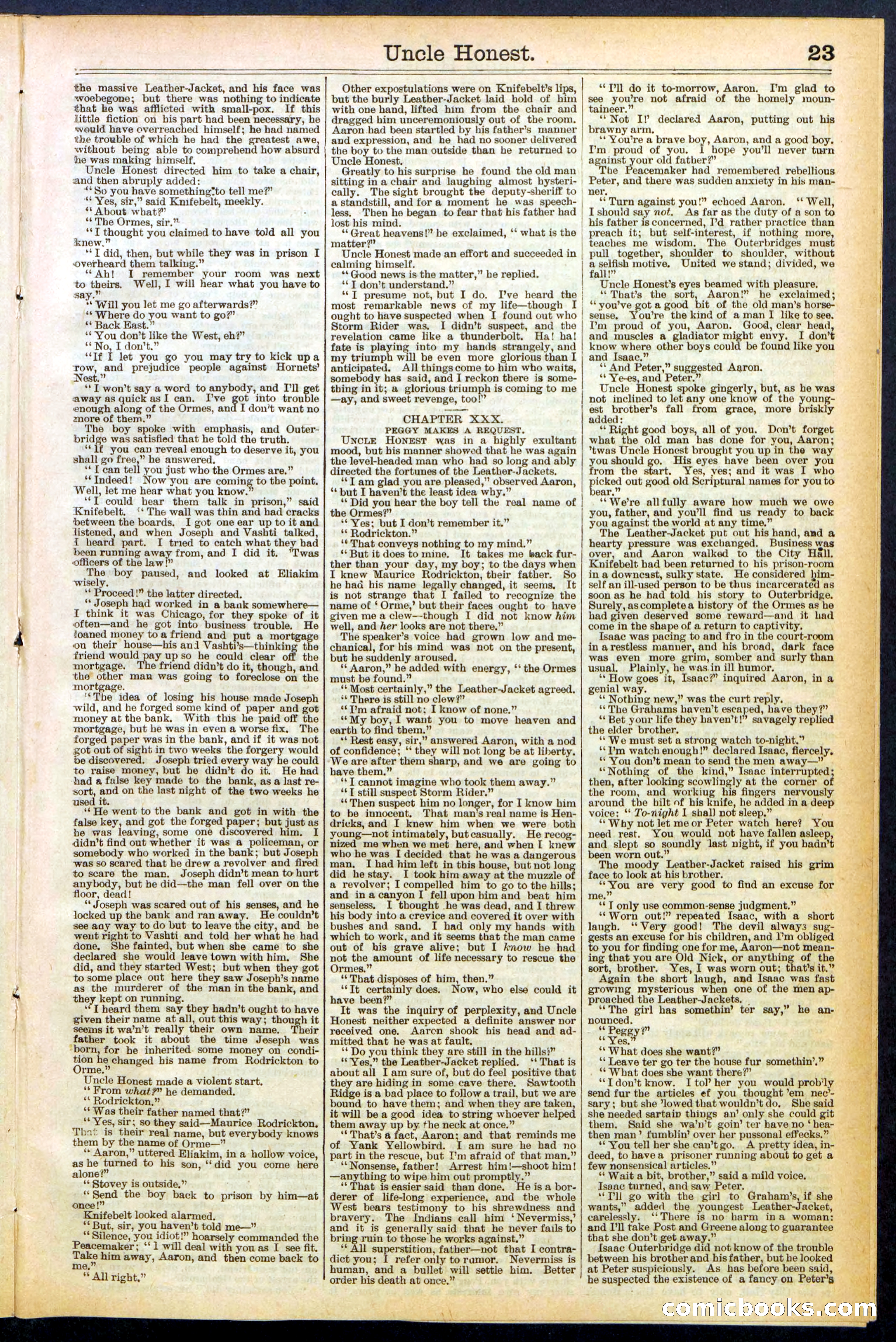 Beadle's New York Dime Library, No. 506 — page 23 of 32