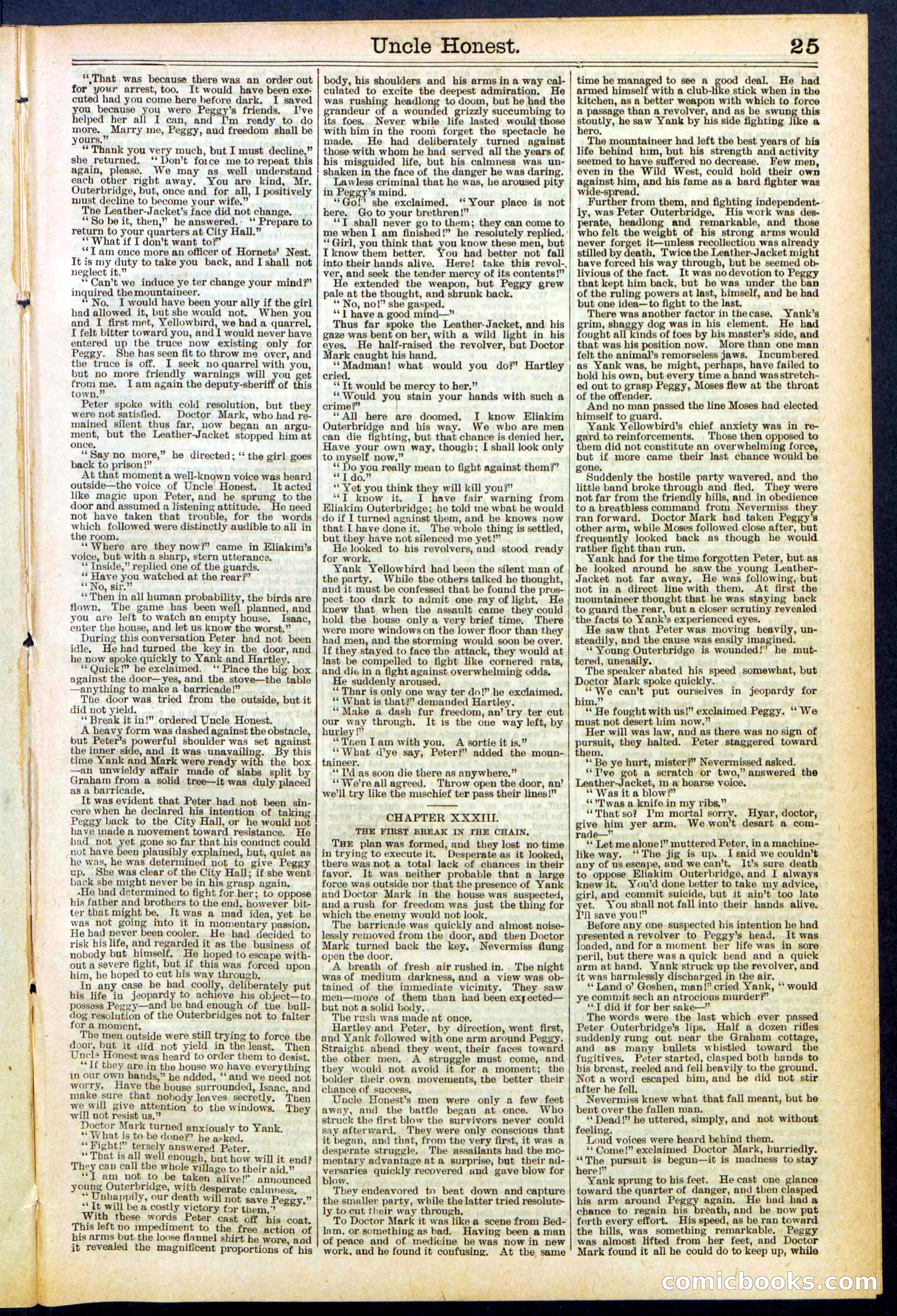 Beadle's New York Dime Library, No. 506 — page 25 of 32