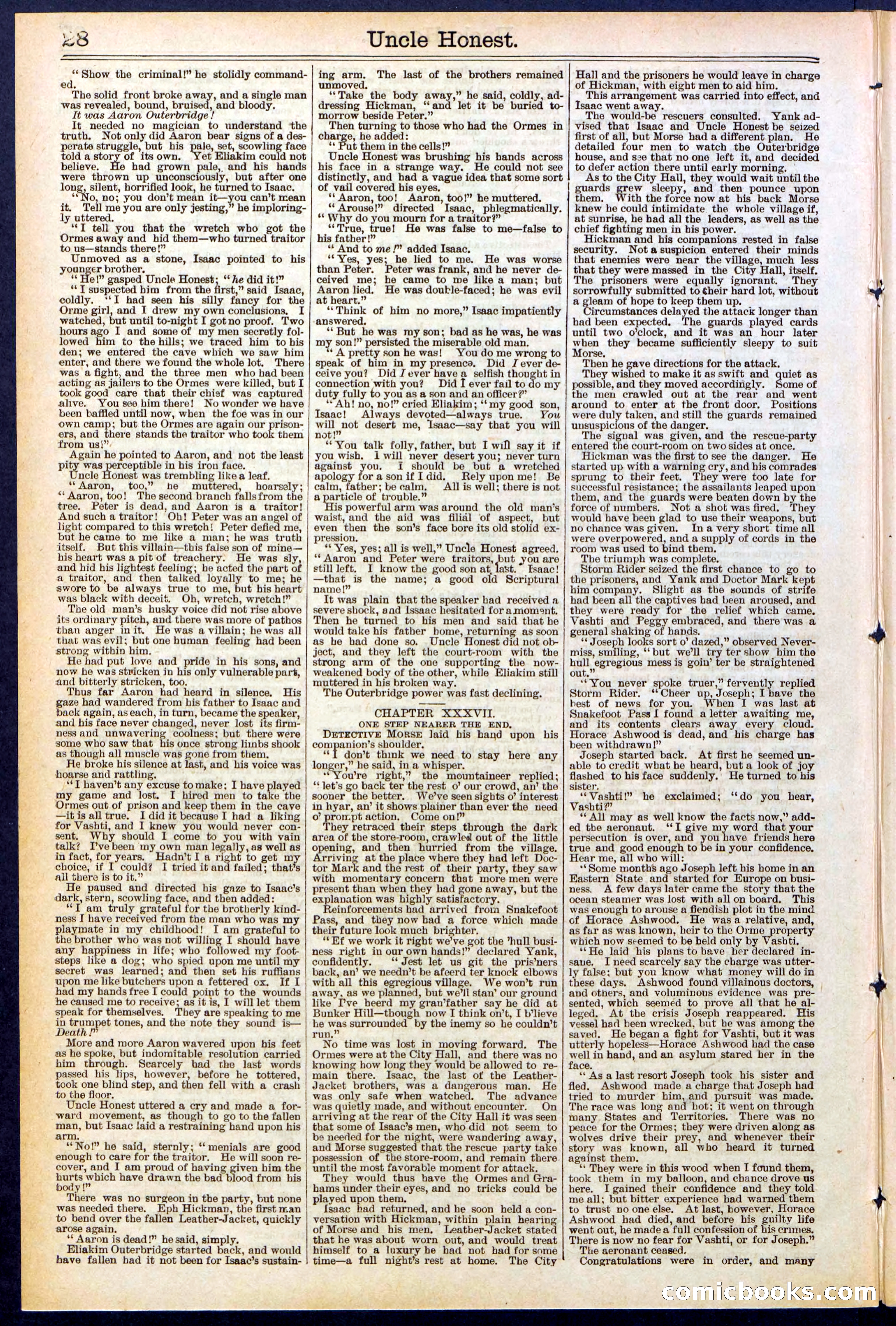 Beadle's New York Dime Library, No. 506 — page 28 of 32