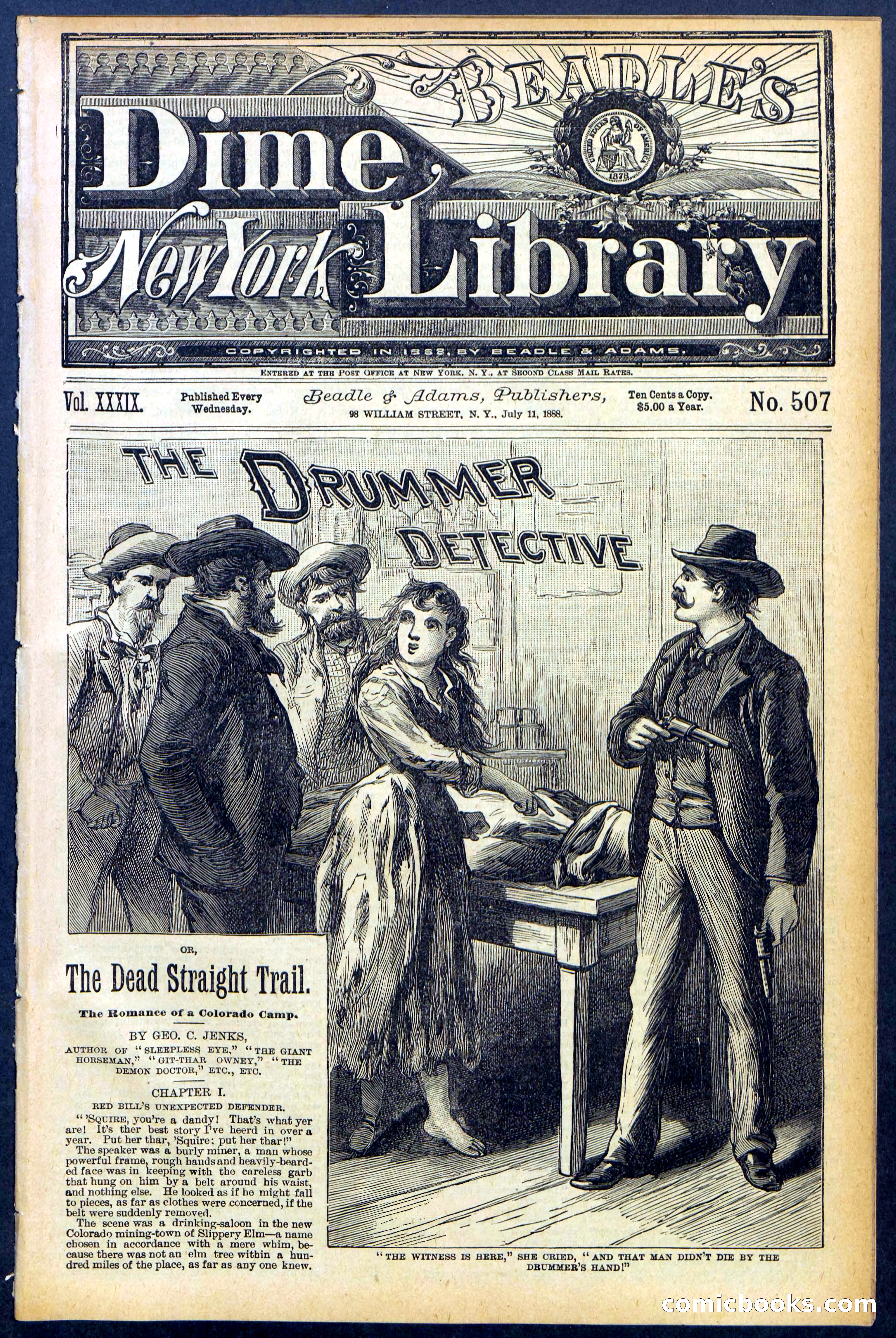 Beadle's Dime Library No. 507 — page 1 of 32