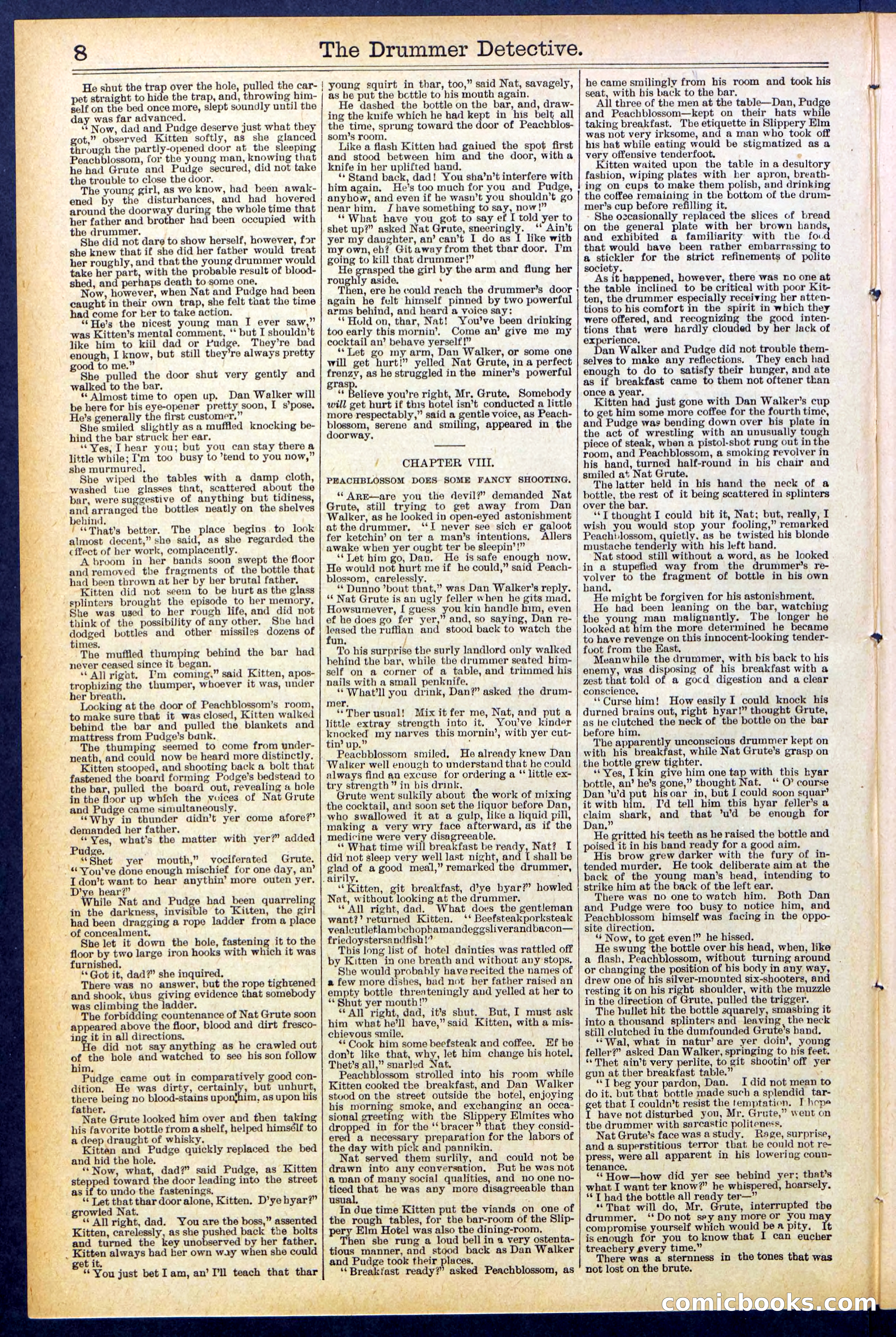 Beadle's Dime Library No. 507 — page 8 of 32