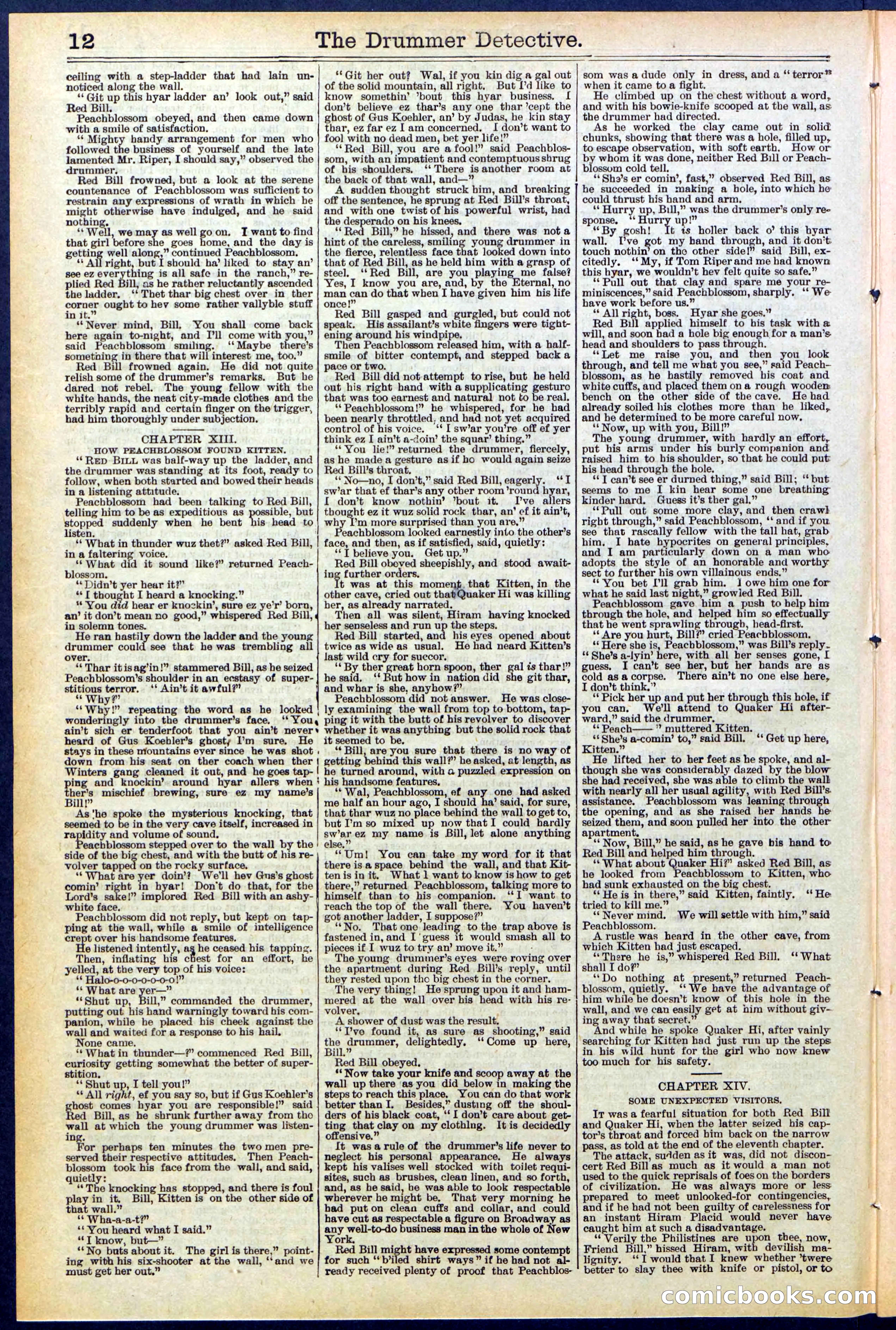 Beadle's Dime Library No. 507 — page 12 of 32
