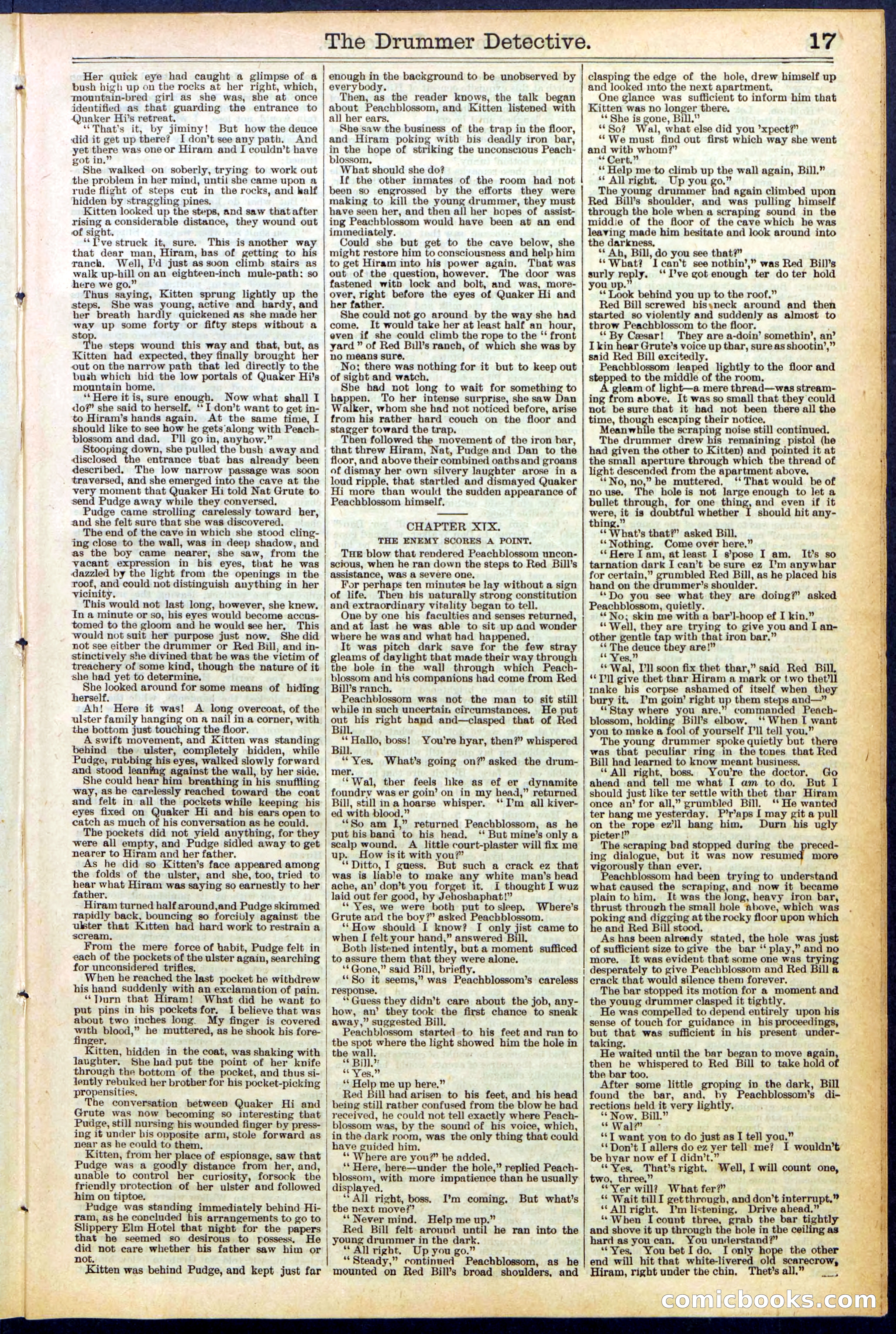 Beadle's Dime Library No. 507 — page 17 of 32